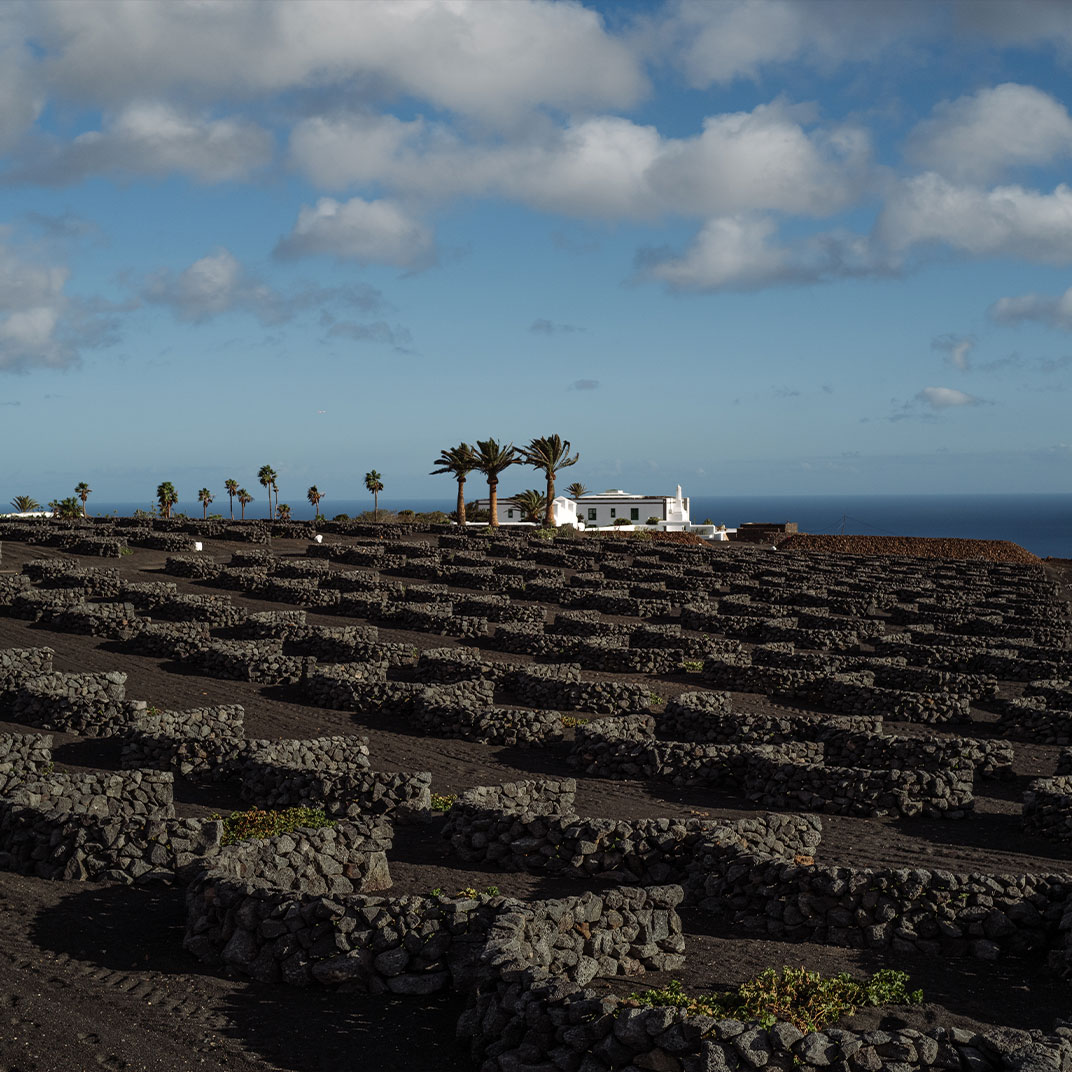 © Hotel Cesar Lanzarote