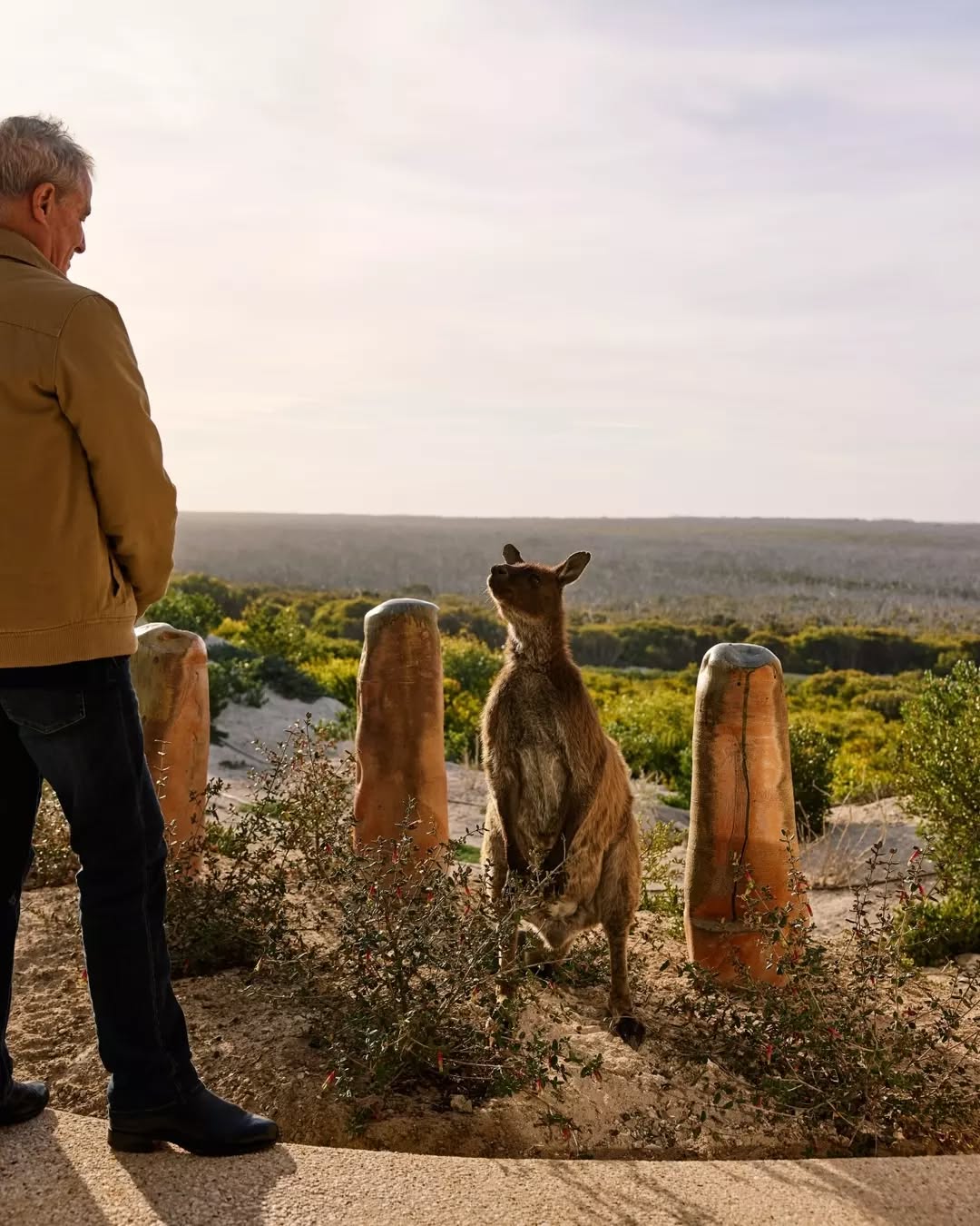 Southern Ocean Lodge