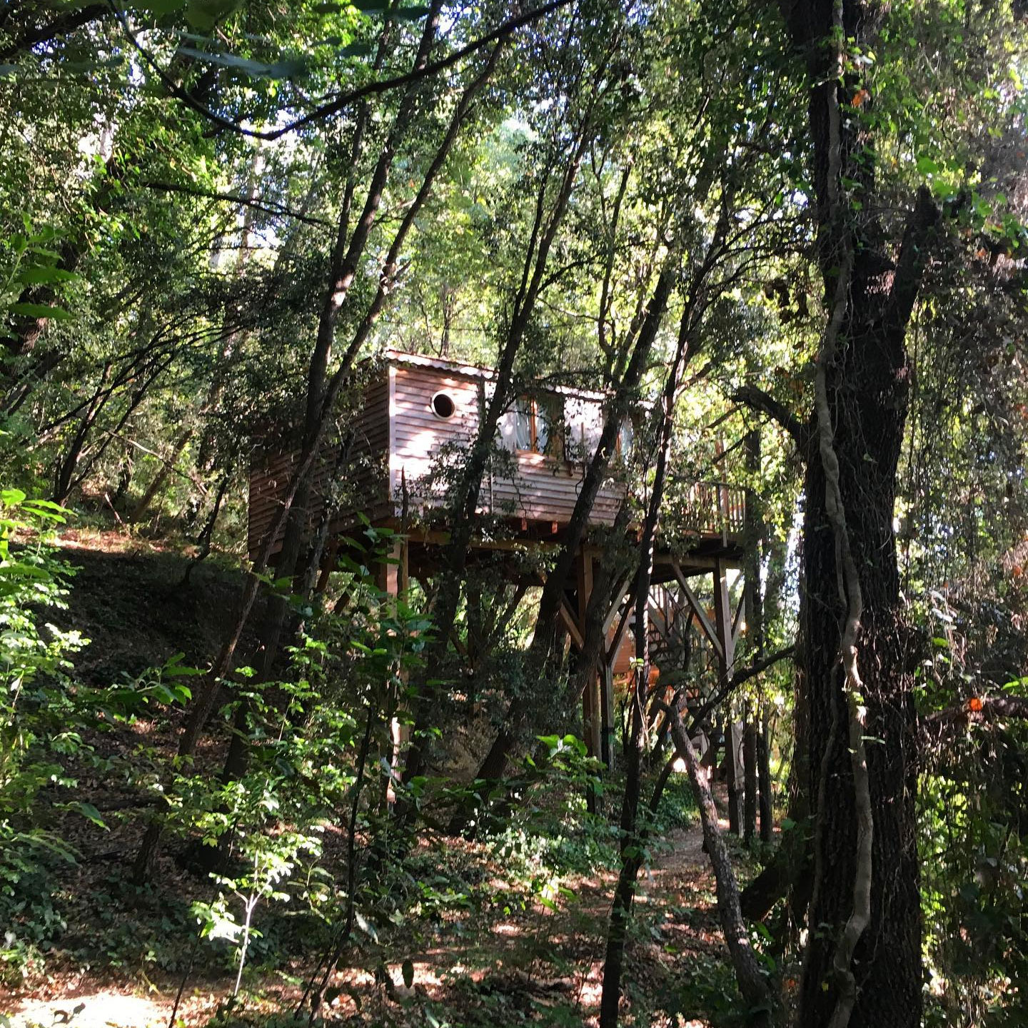 Orion Treehouses