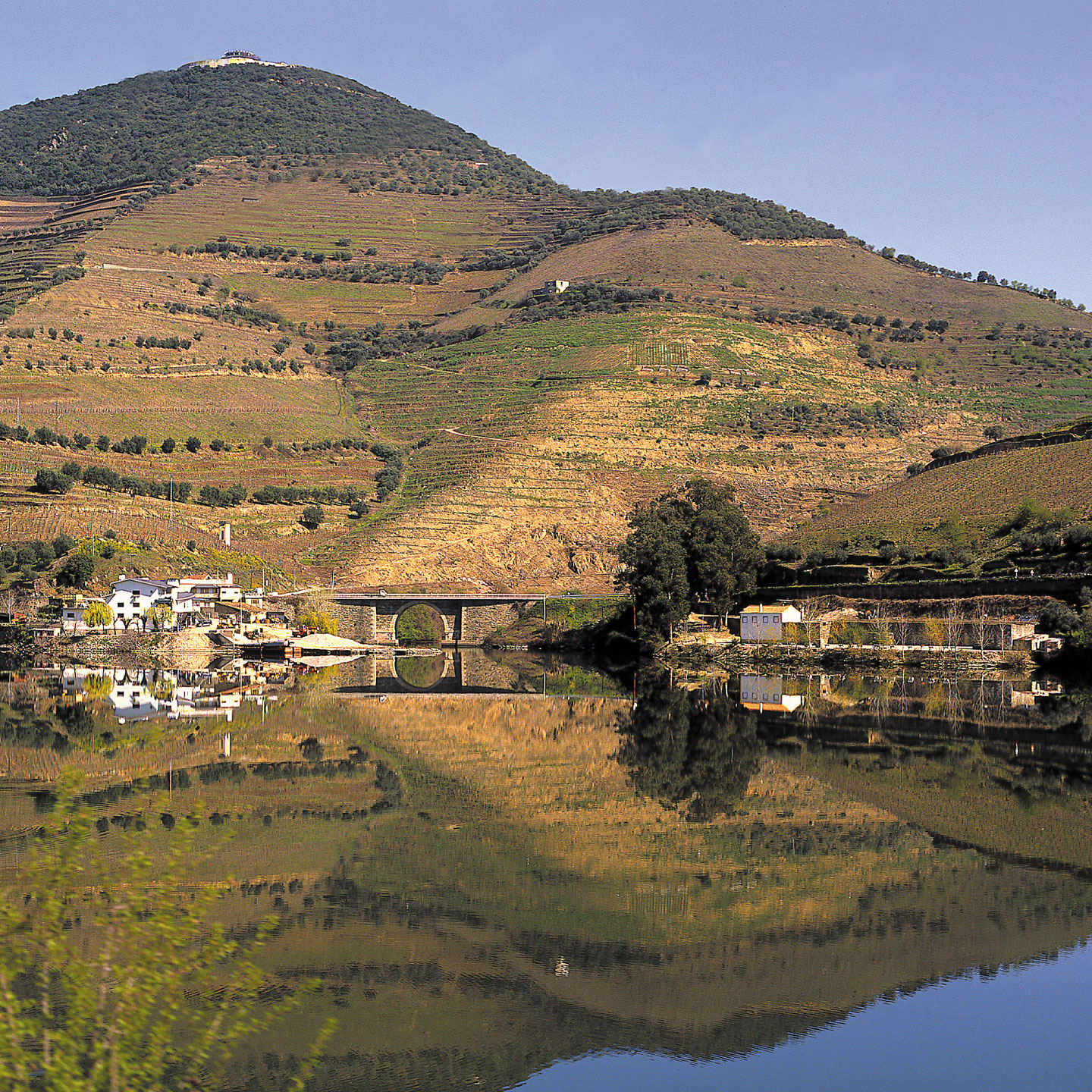 Douro 41 Hotel & Spa - boutique hotel in Castelo de Paiva