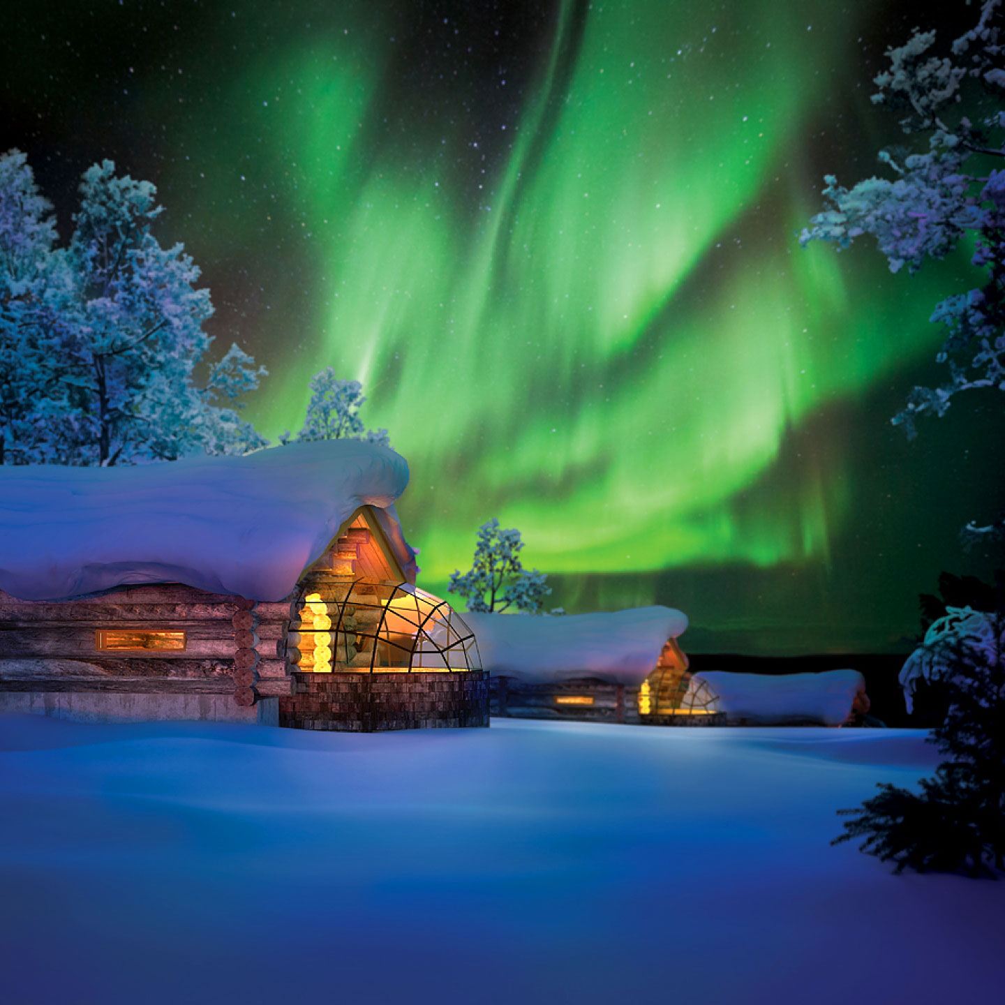 Magnificient Northern Lights - Arctic TreeHouse Hotel