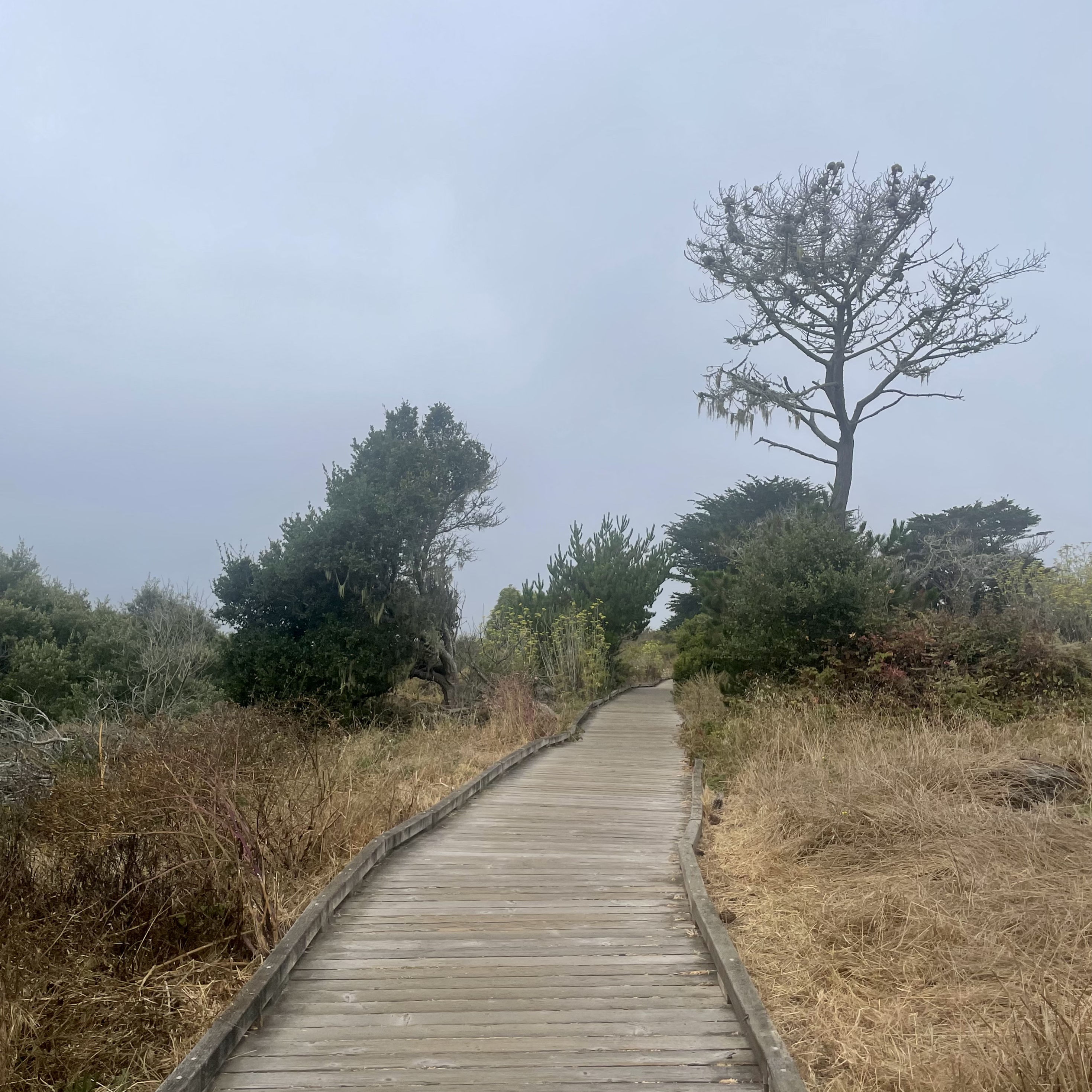 Cambria Beach Lodge (oben), White Water (Mitte), Moonstone Beach (unten)