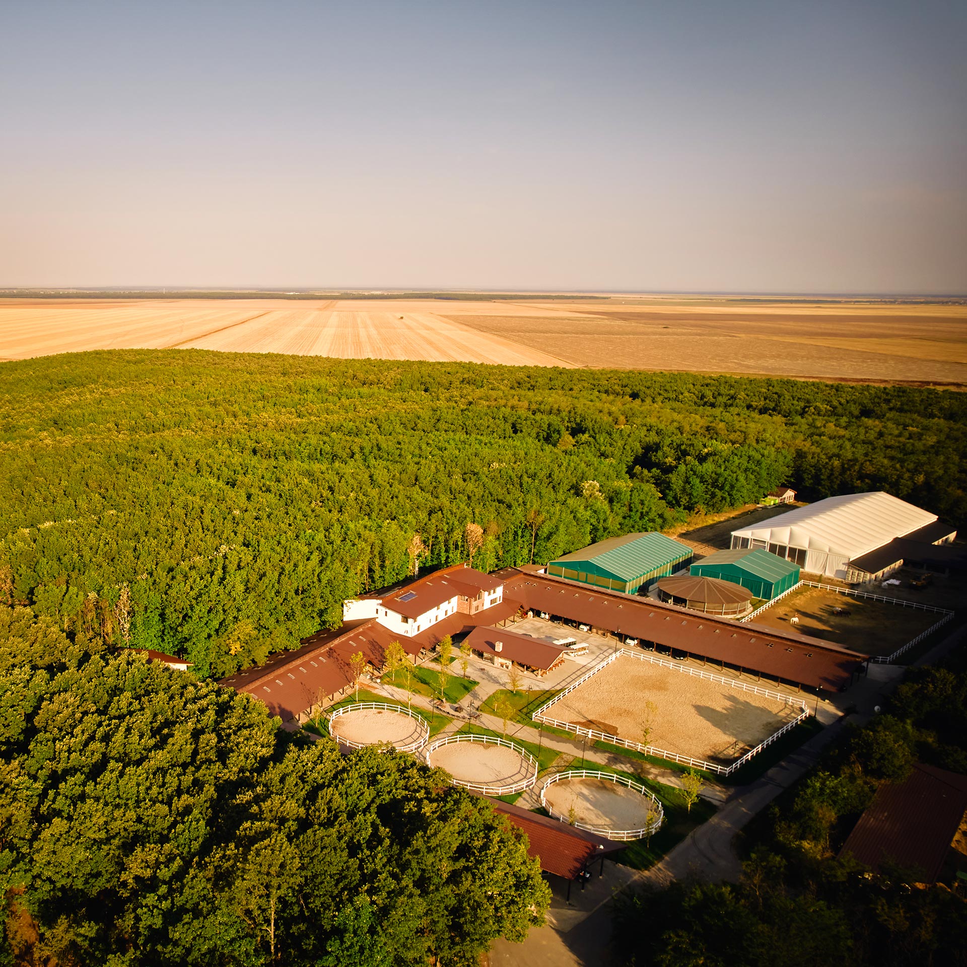 Singureni Manor Equestrian Retreat