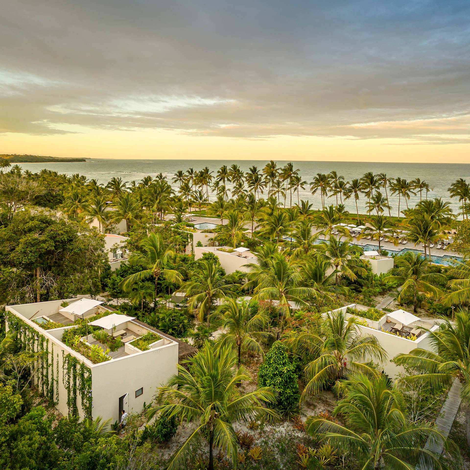 Fasano Trancoso