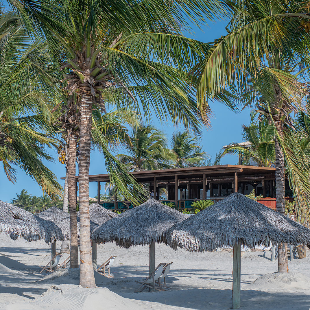 Hotel Vila Selvagem
