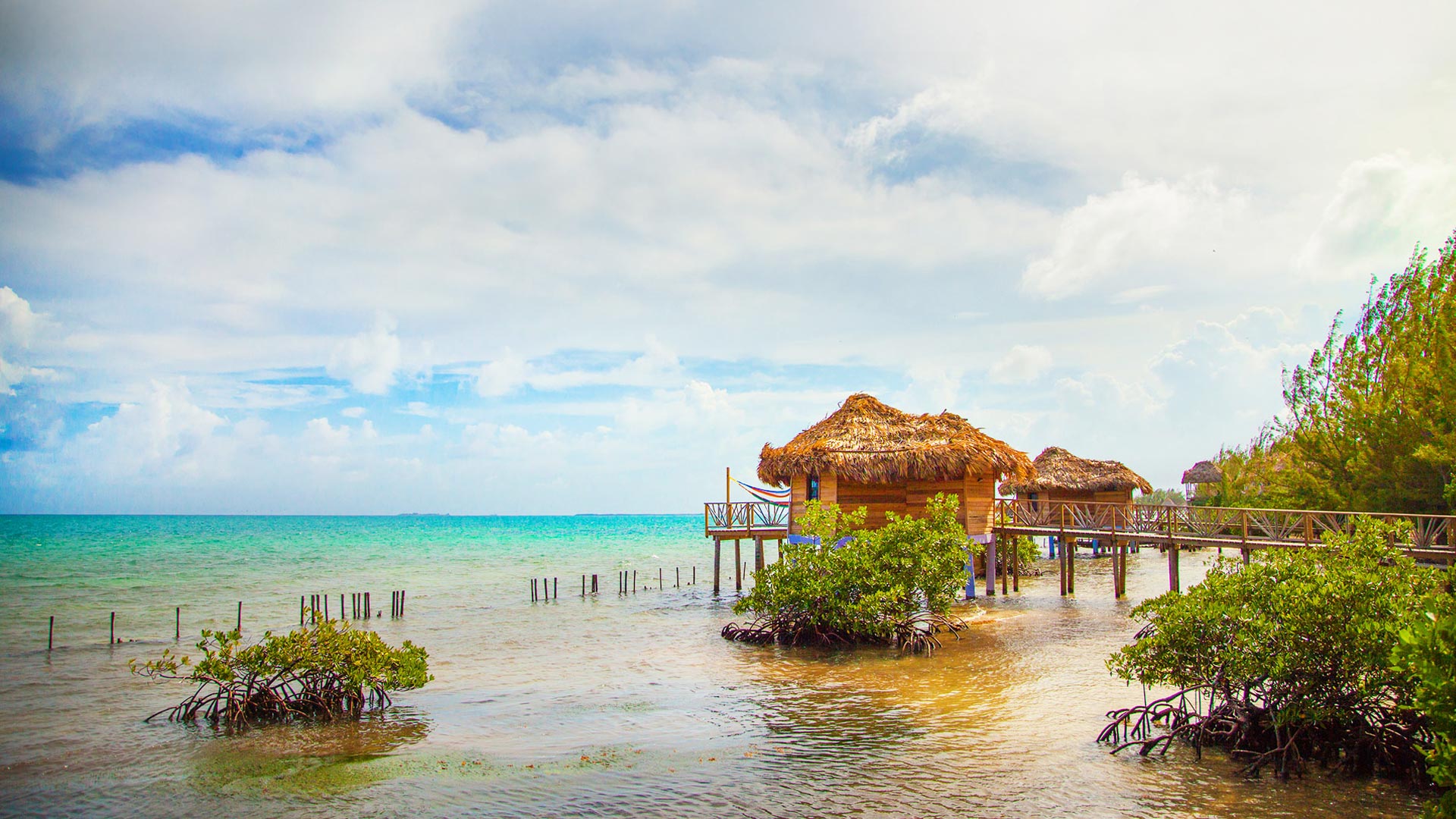 Thatch Caye