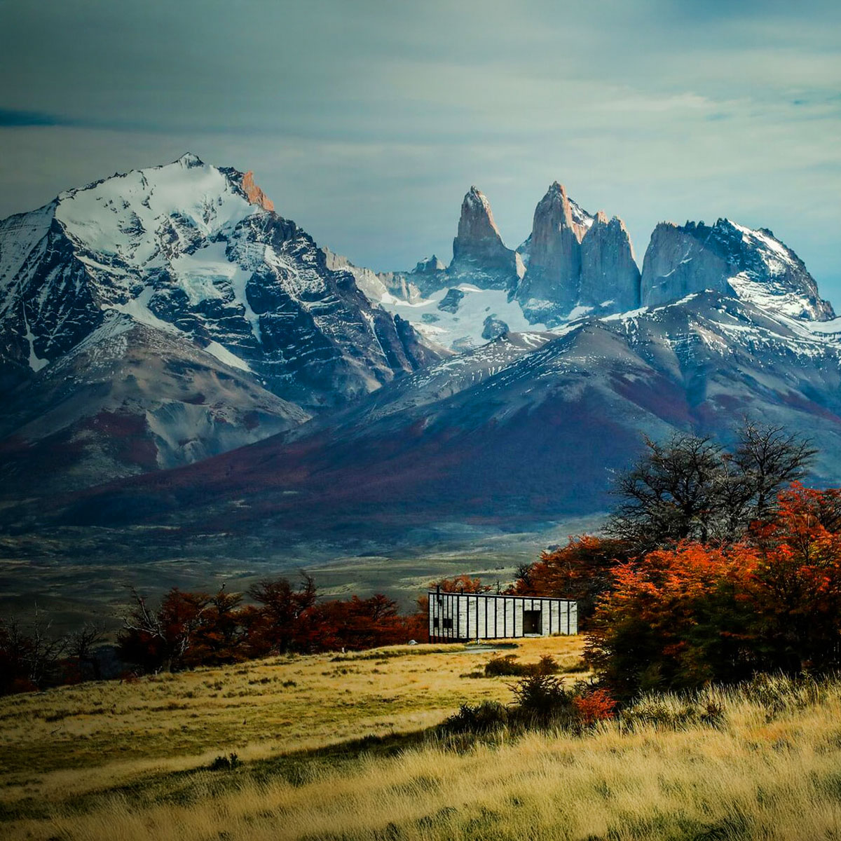 Awasi Patagonia