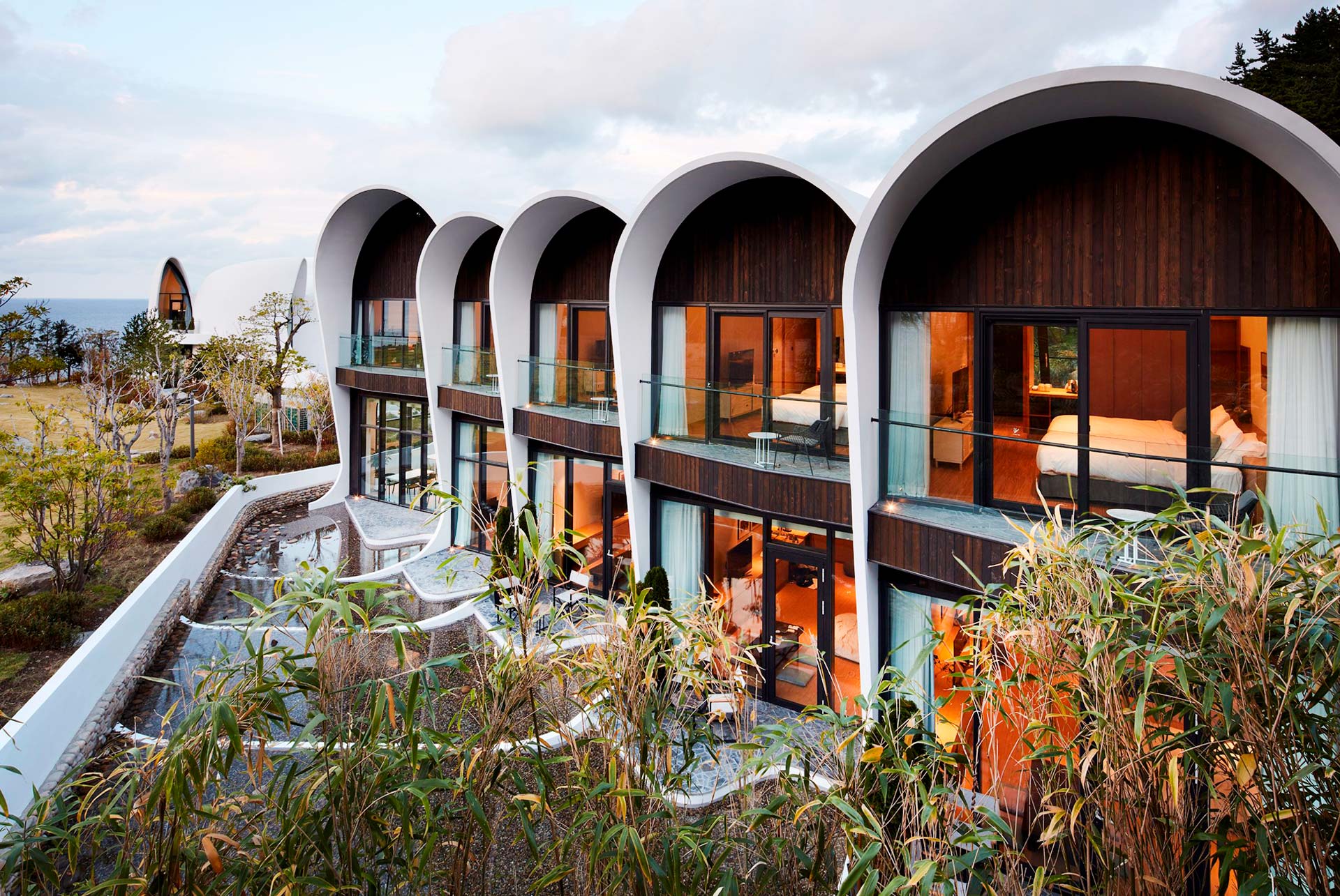 Kosmos Ulleungdo width=