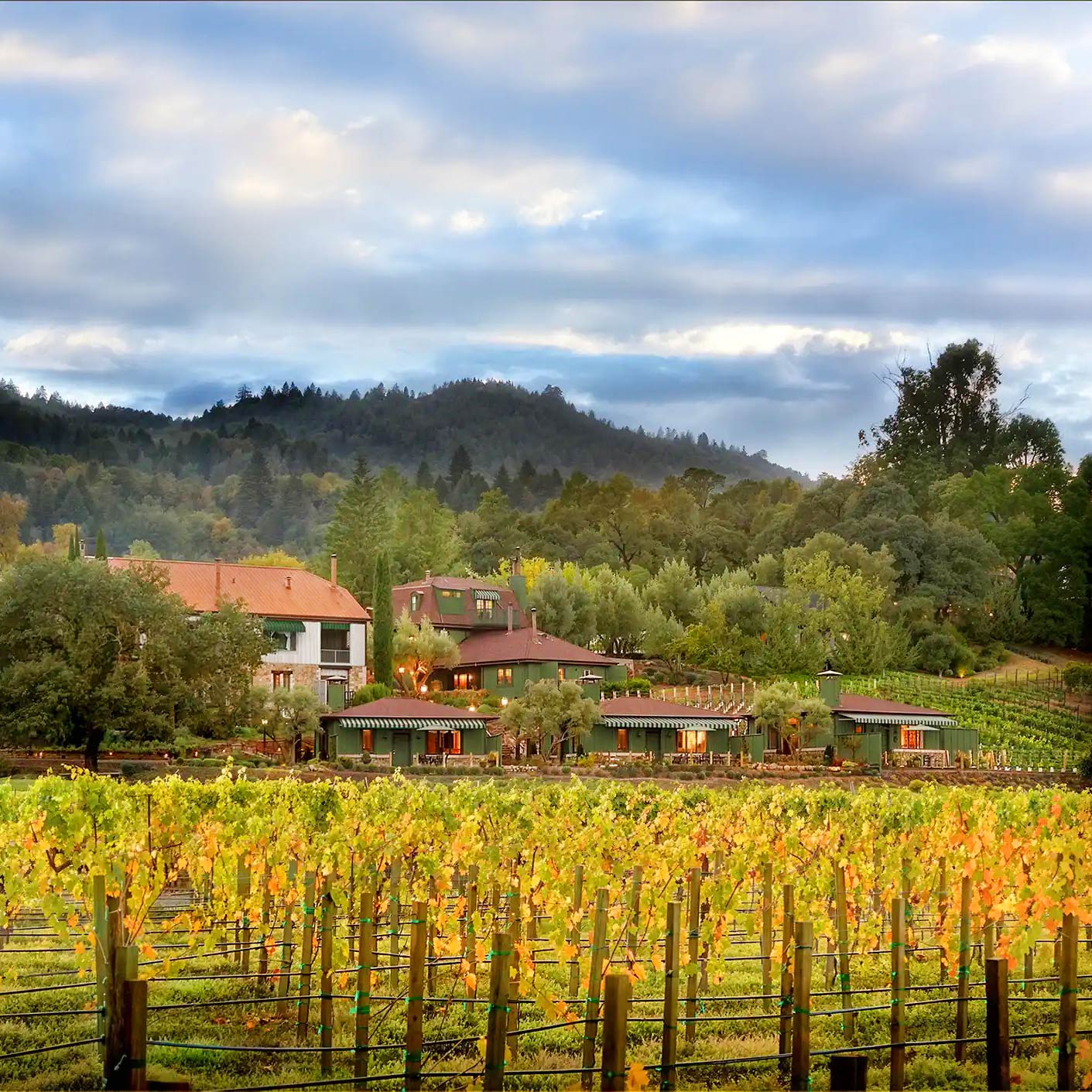 Le Petit Pali St Helena