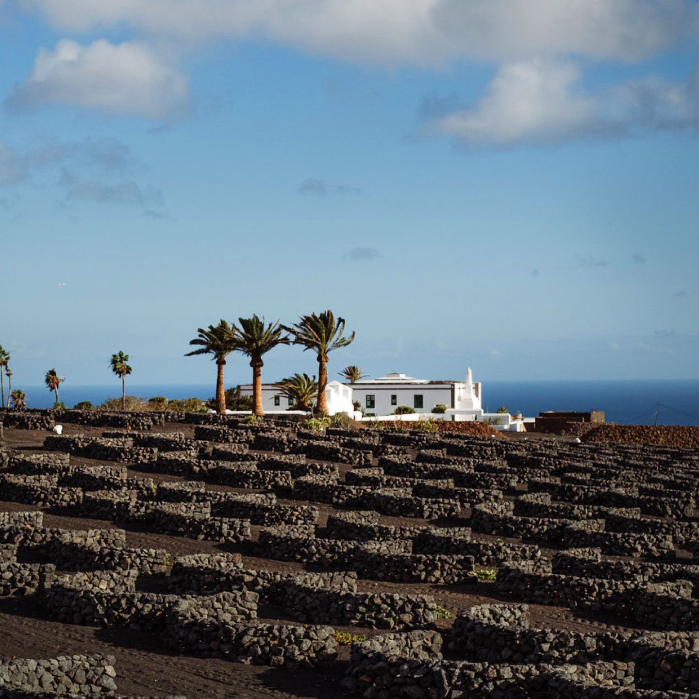 Hotel César Lanzarote