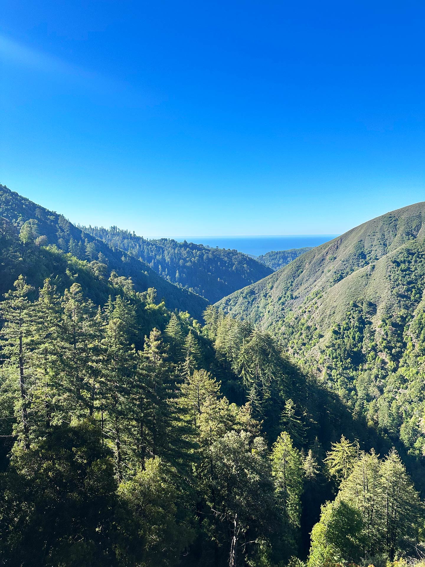 Big Sur