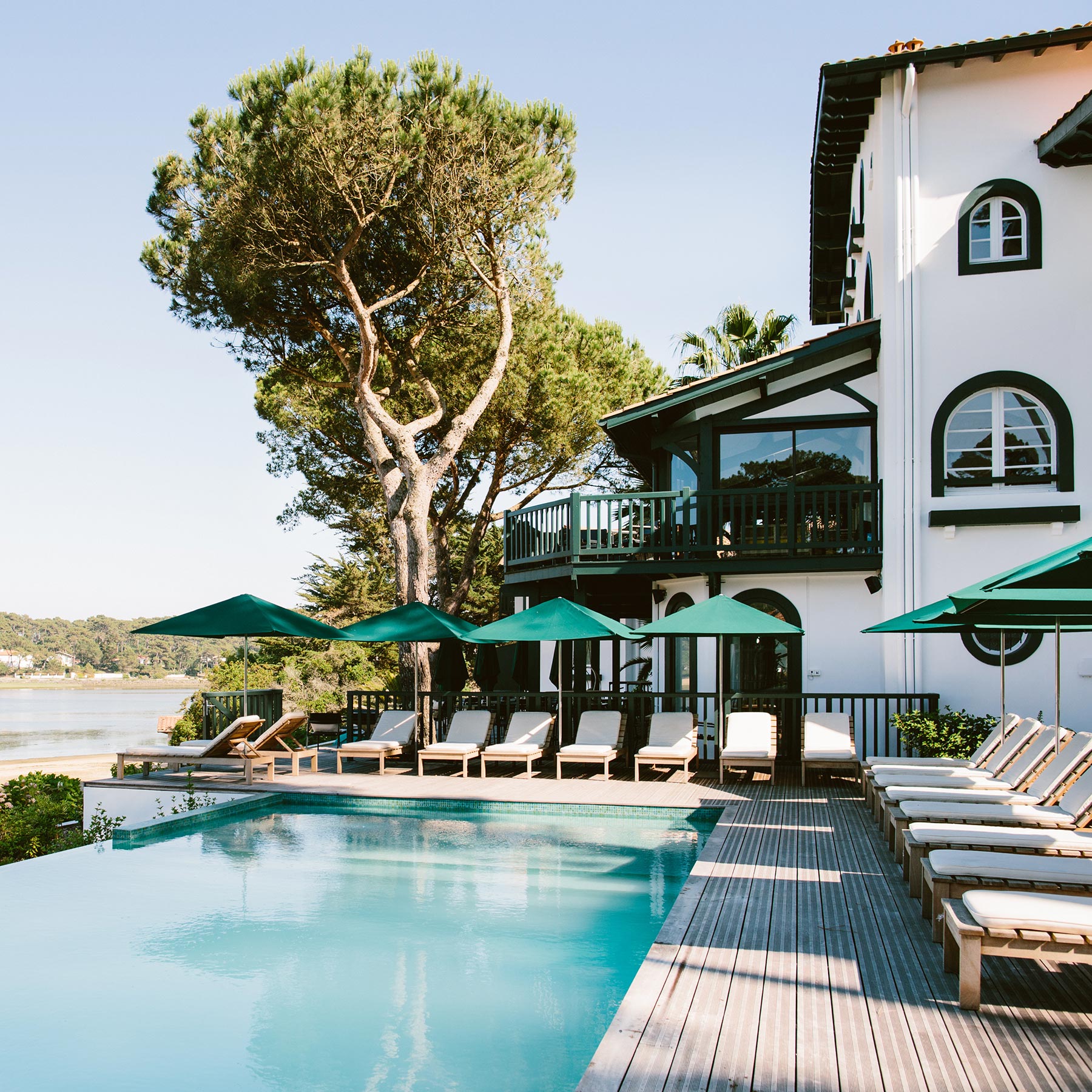 Les Hortensias du Lac