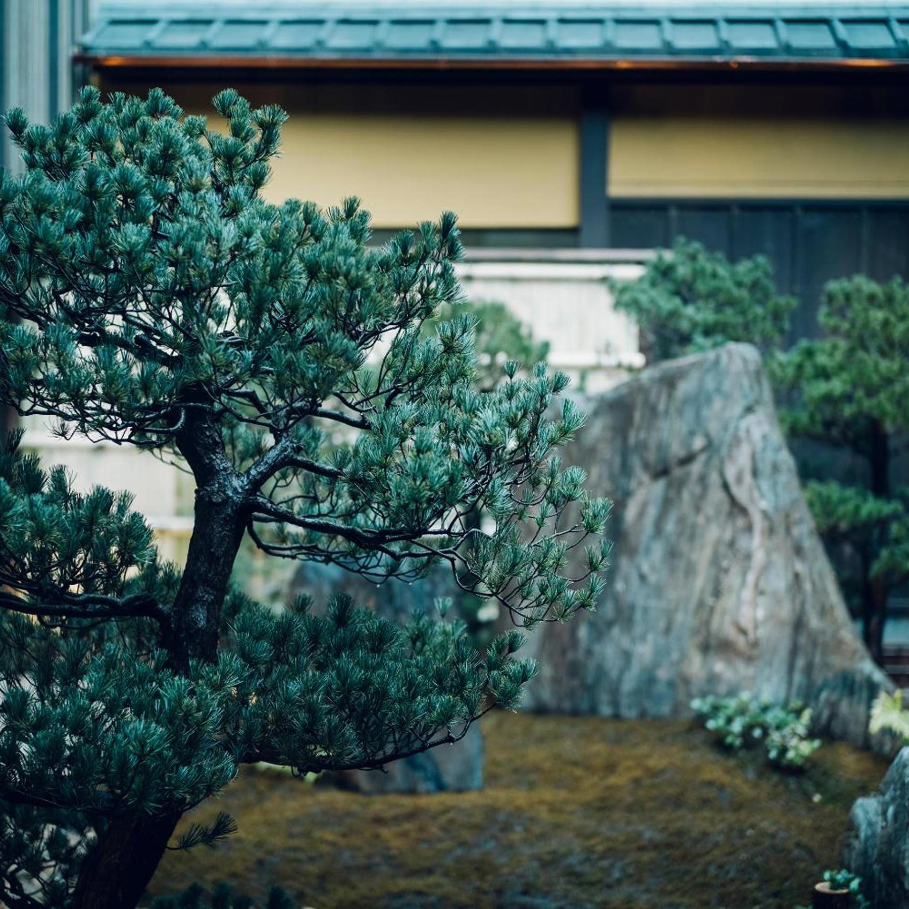 THE HIRAMATSU Kyoto