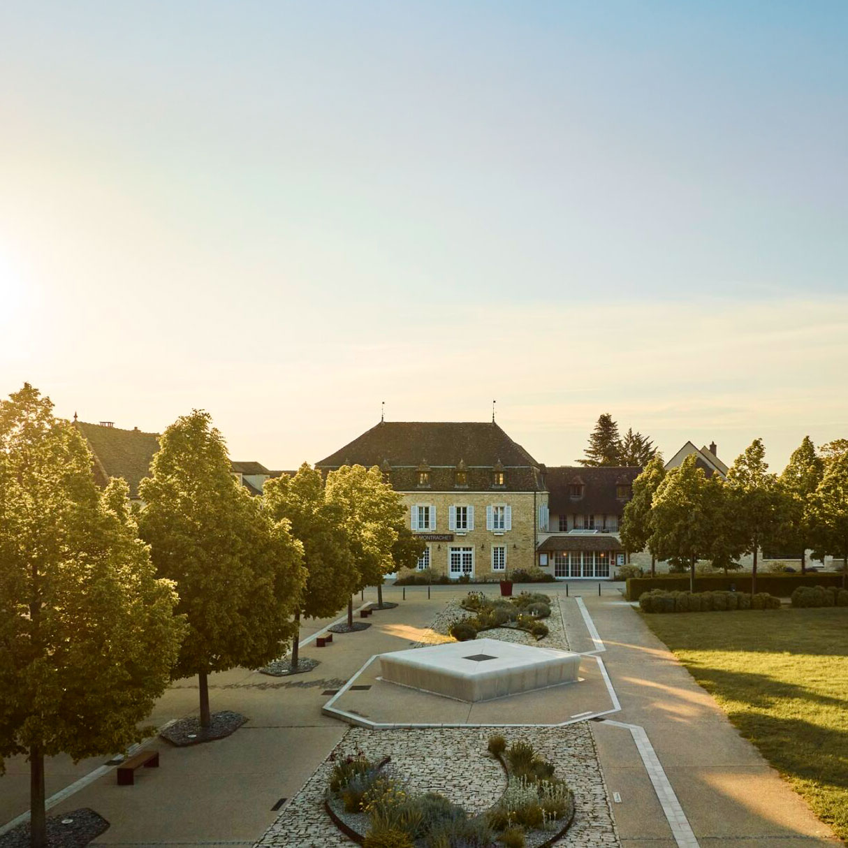 COMO Le Montrachet