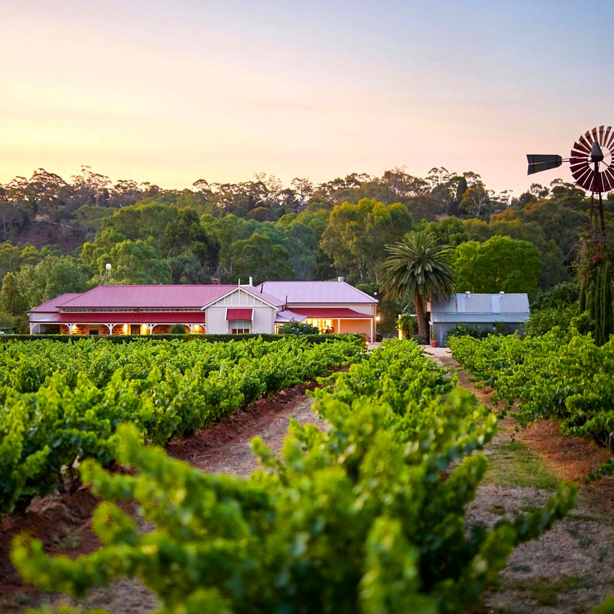 Le Mas Barossa