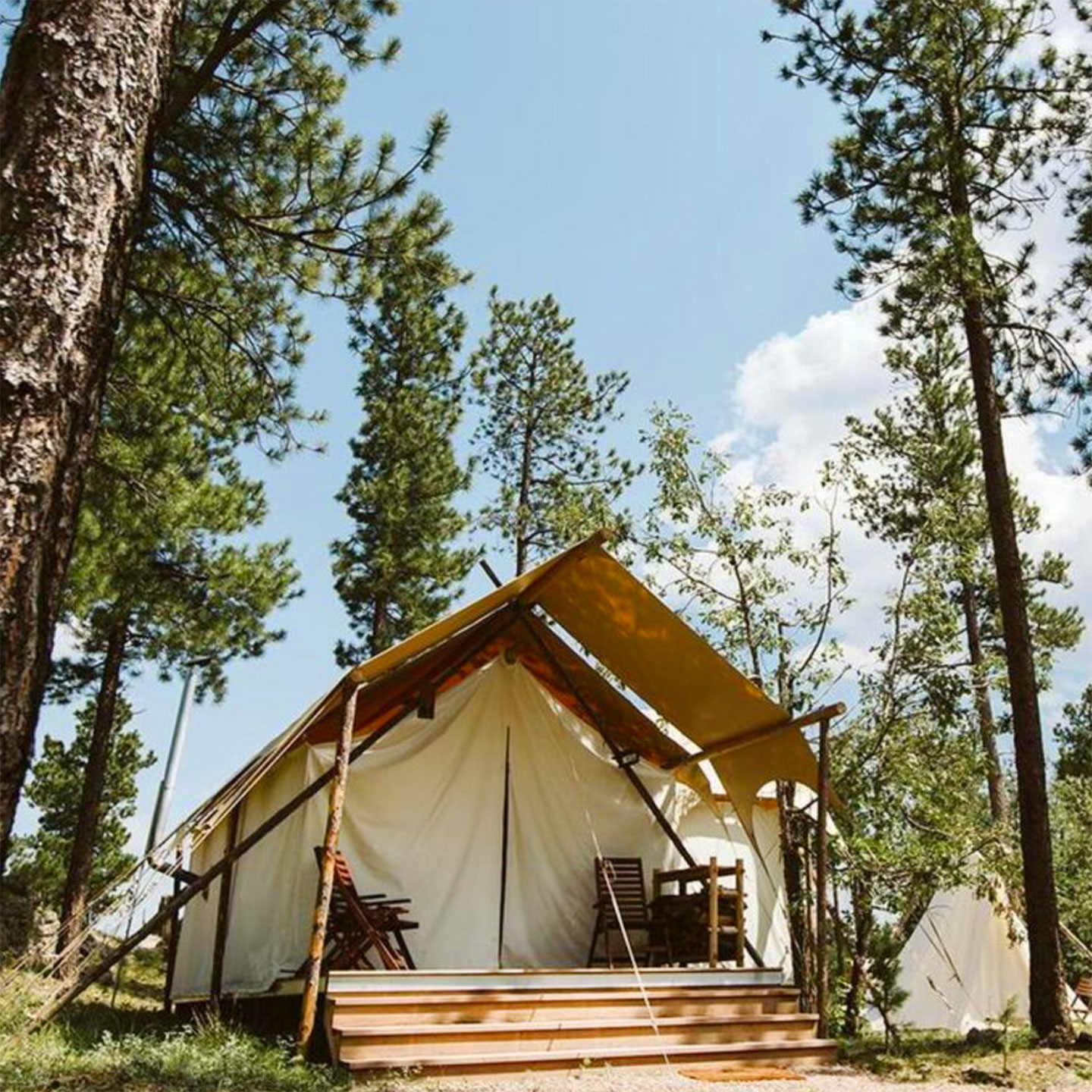 Under Canvas Mount Rushmore