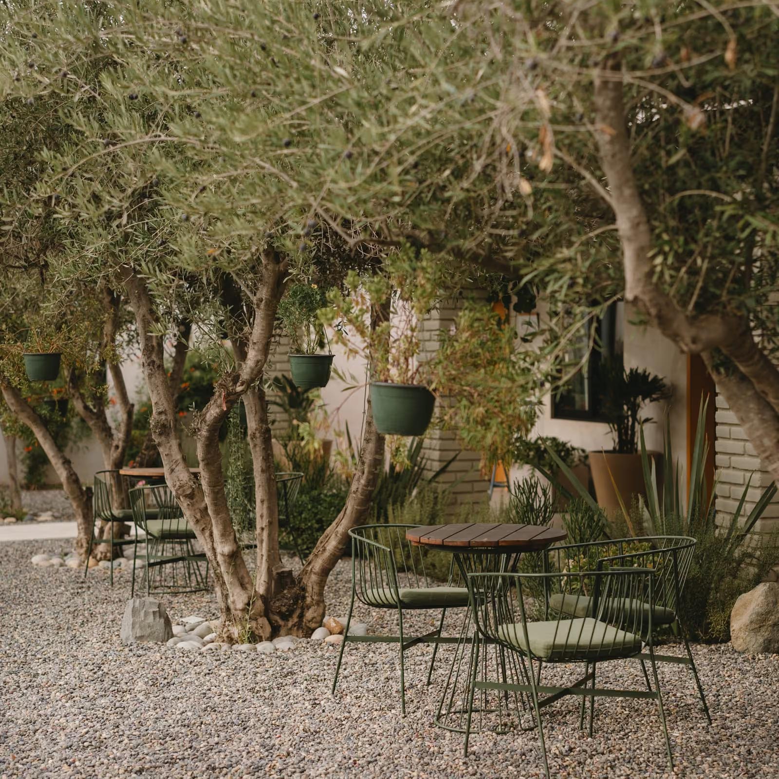 Casa Olivea