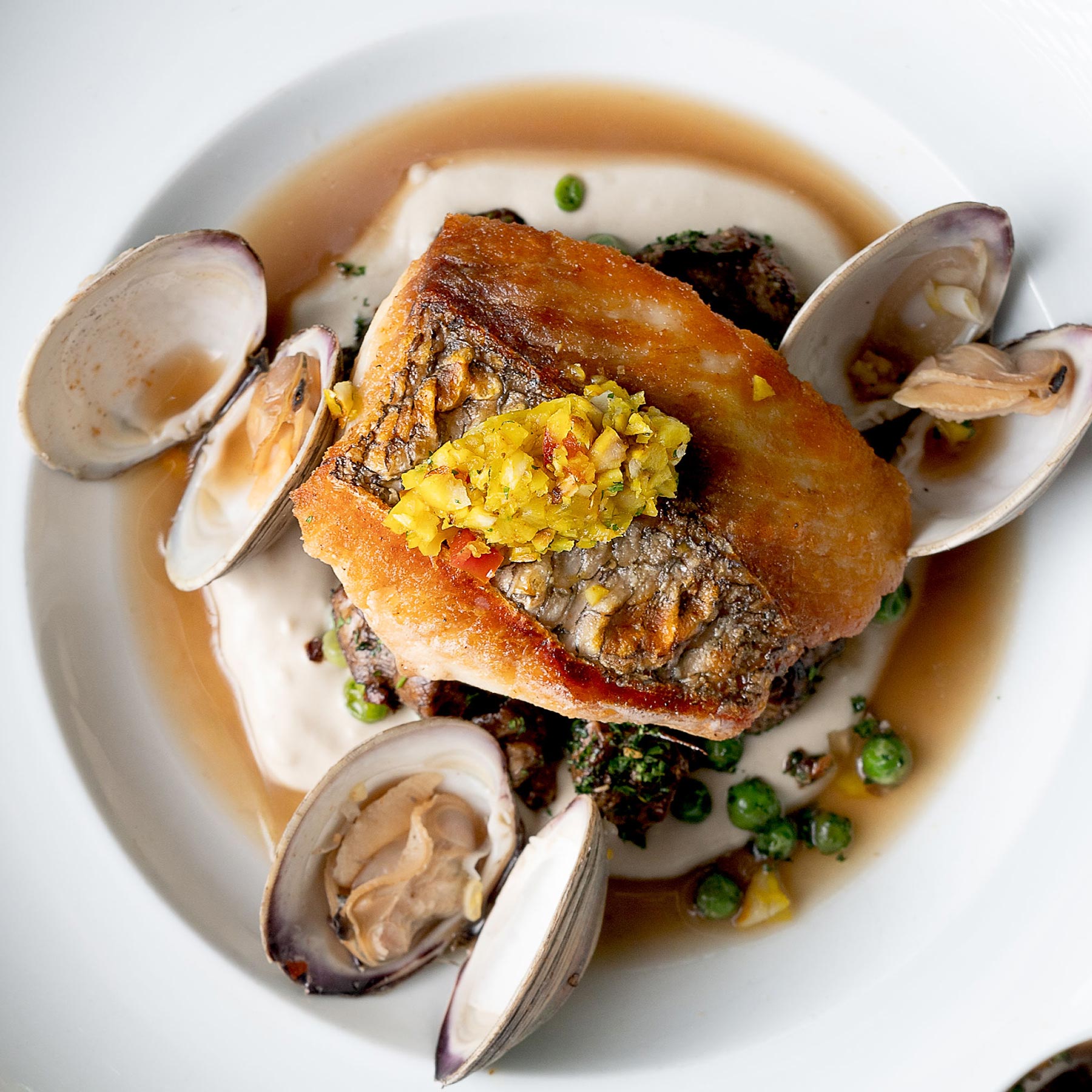 Randi Curling / Table & Main