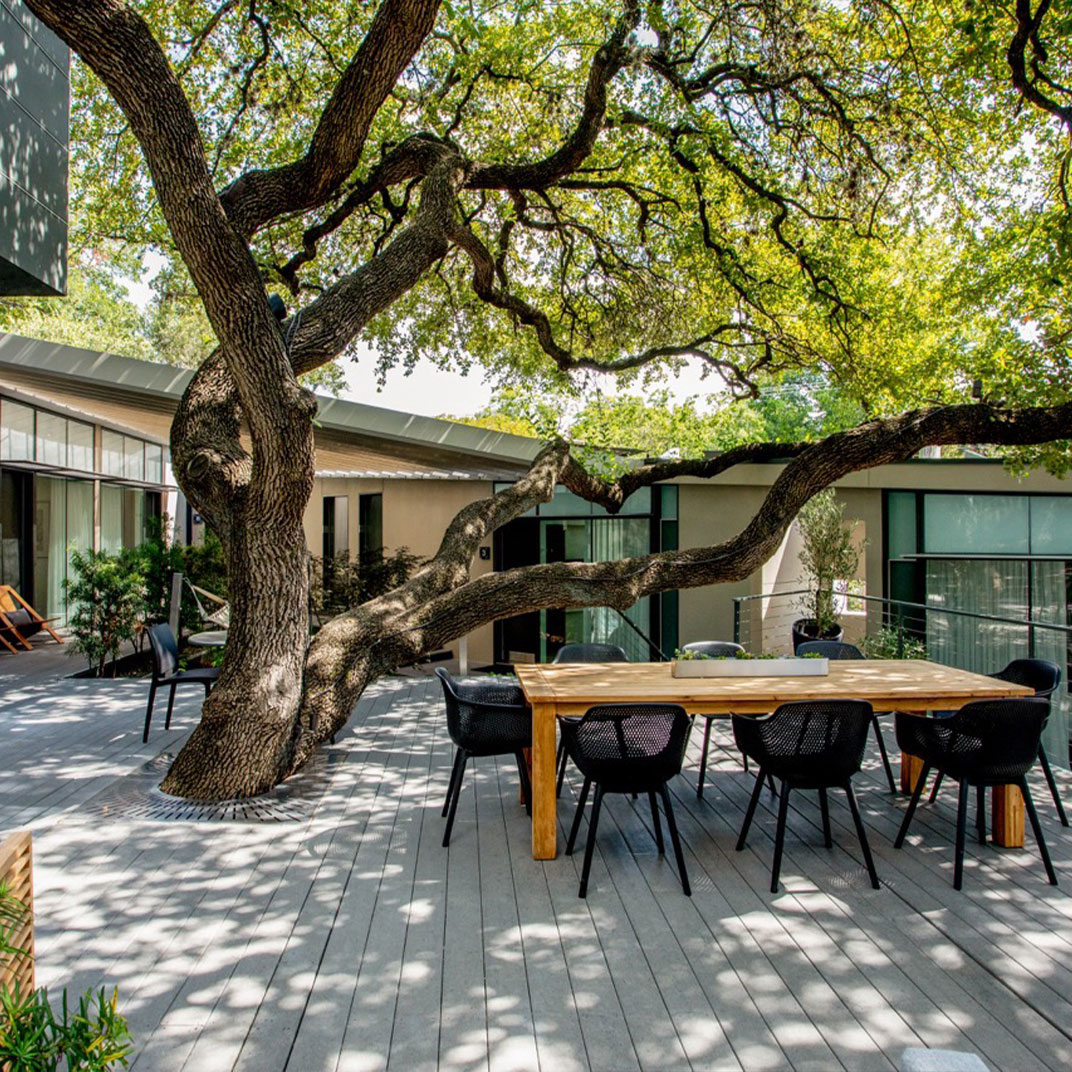 The Frame Hotel - Treehouse is one of Austin's most unique stays, and ideal for small groups.