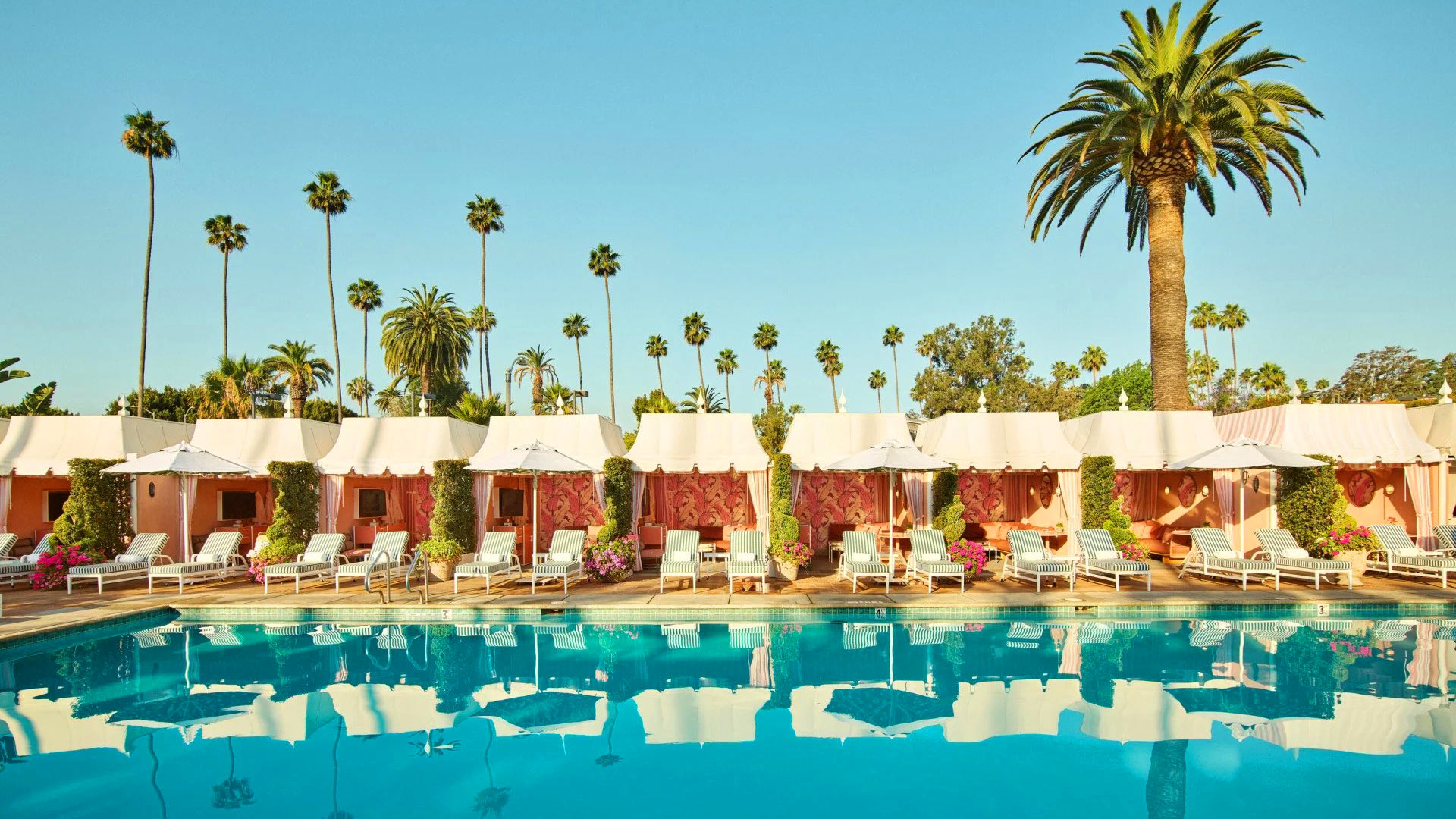 The Beverly Hills Hotel, Dorchester Collection - Pool