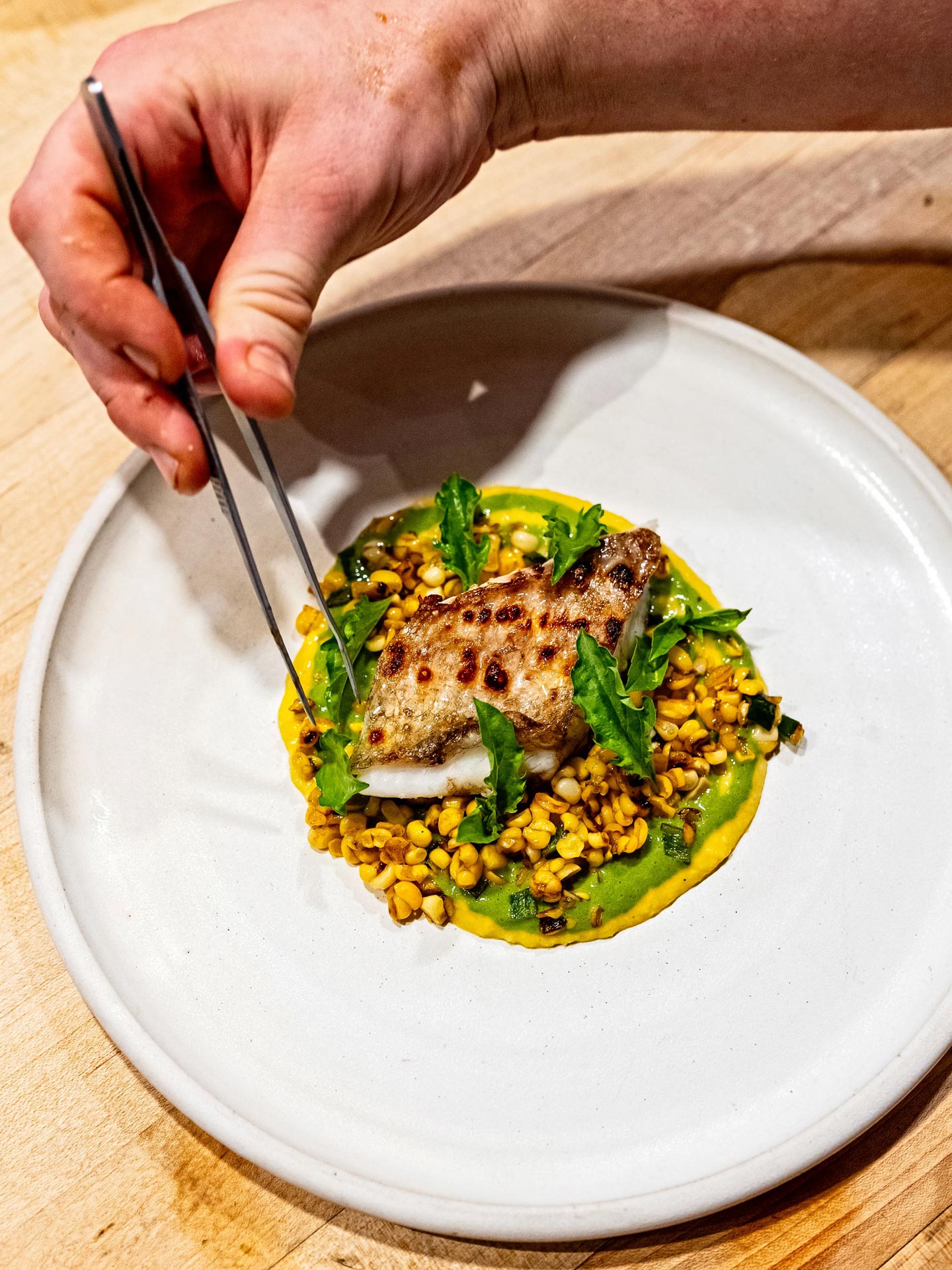 Scott Suchman / Dry aged fish