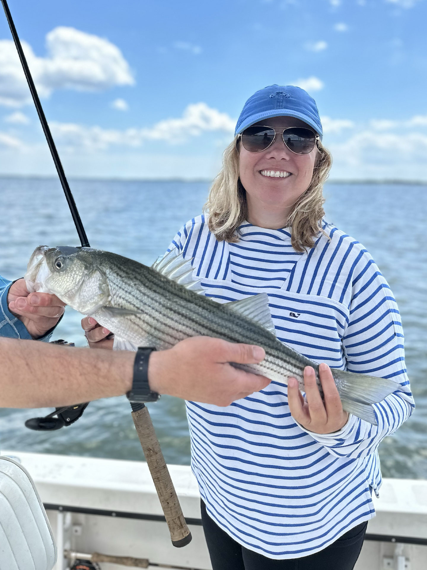Maryland rockfish