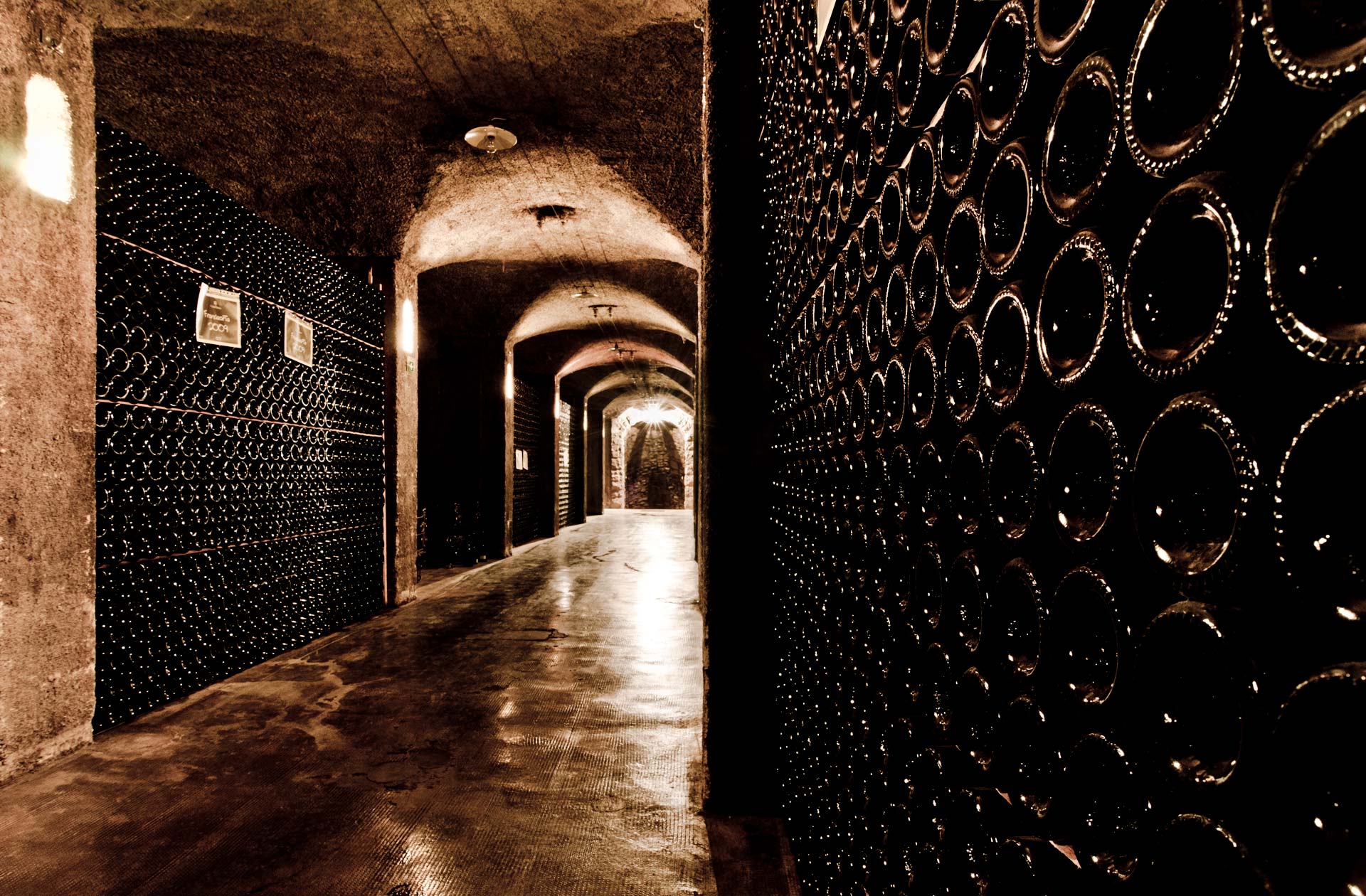 @FabioCattabiani / Winery