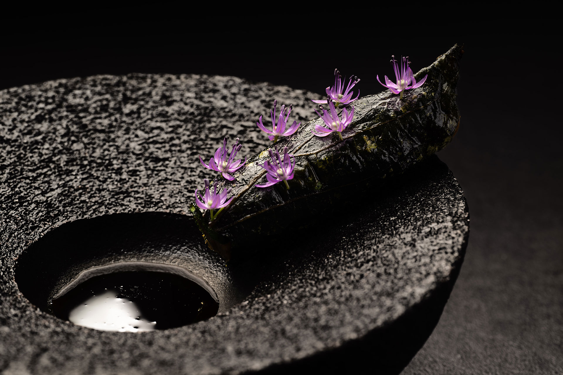 Coturnix Quail with Sacred Pepper and Myrica Gale, Vespertine 