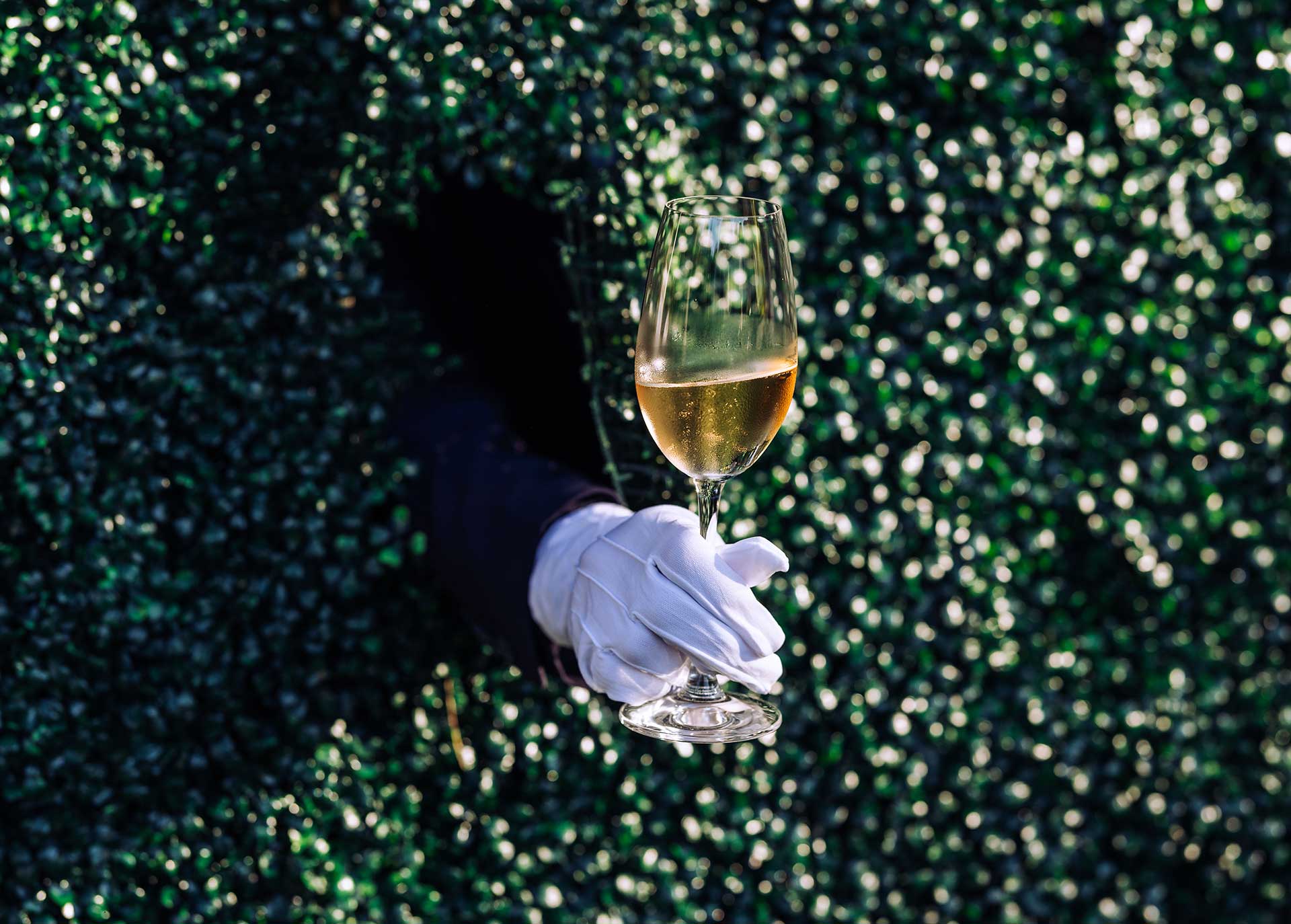 Frédéric Savart, Extra Brut, "L'Accomplie," Écueil MV