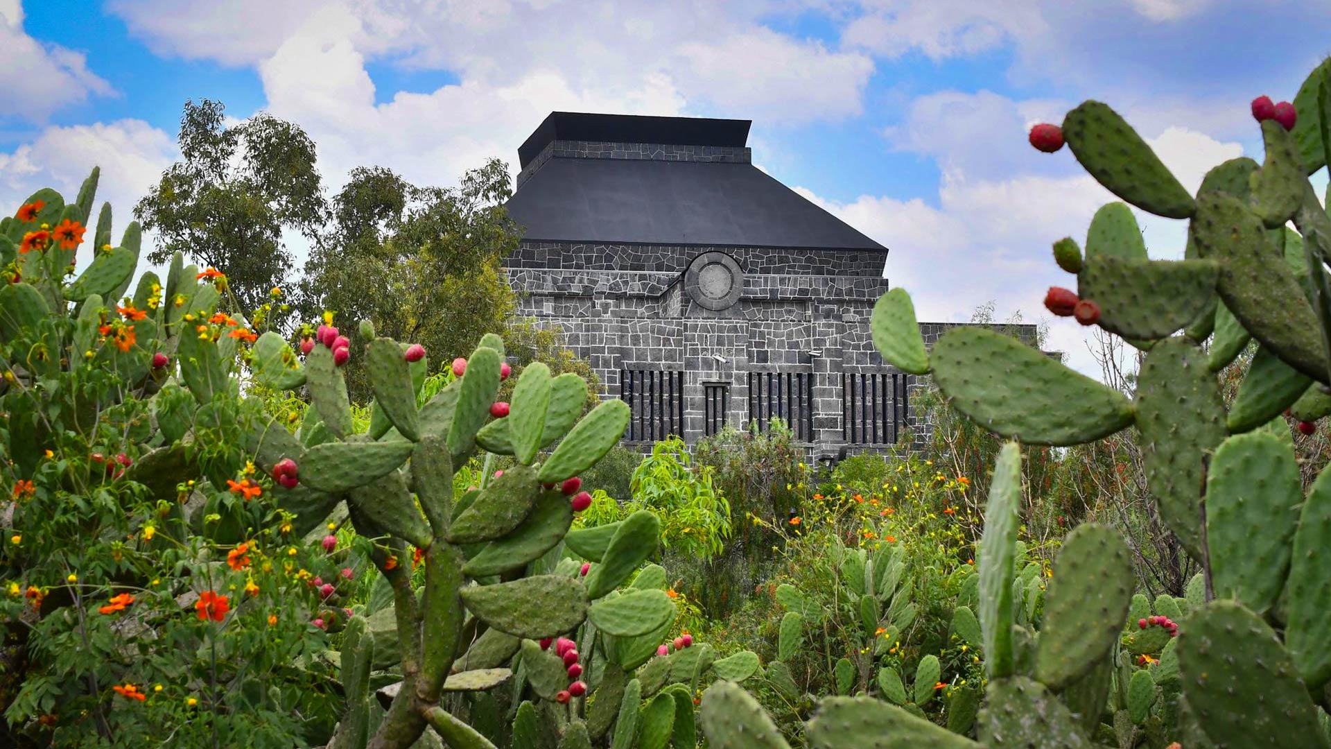 ©Museo Diego Rivera Anahuacalli