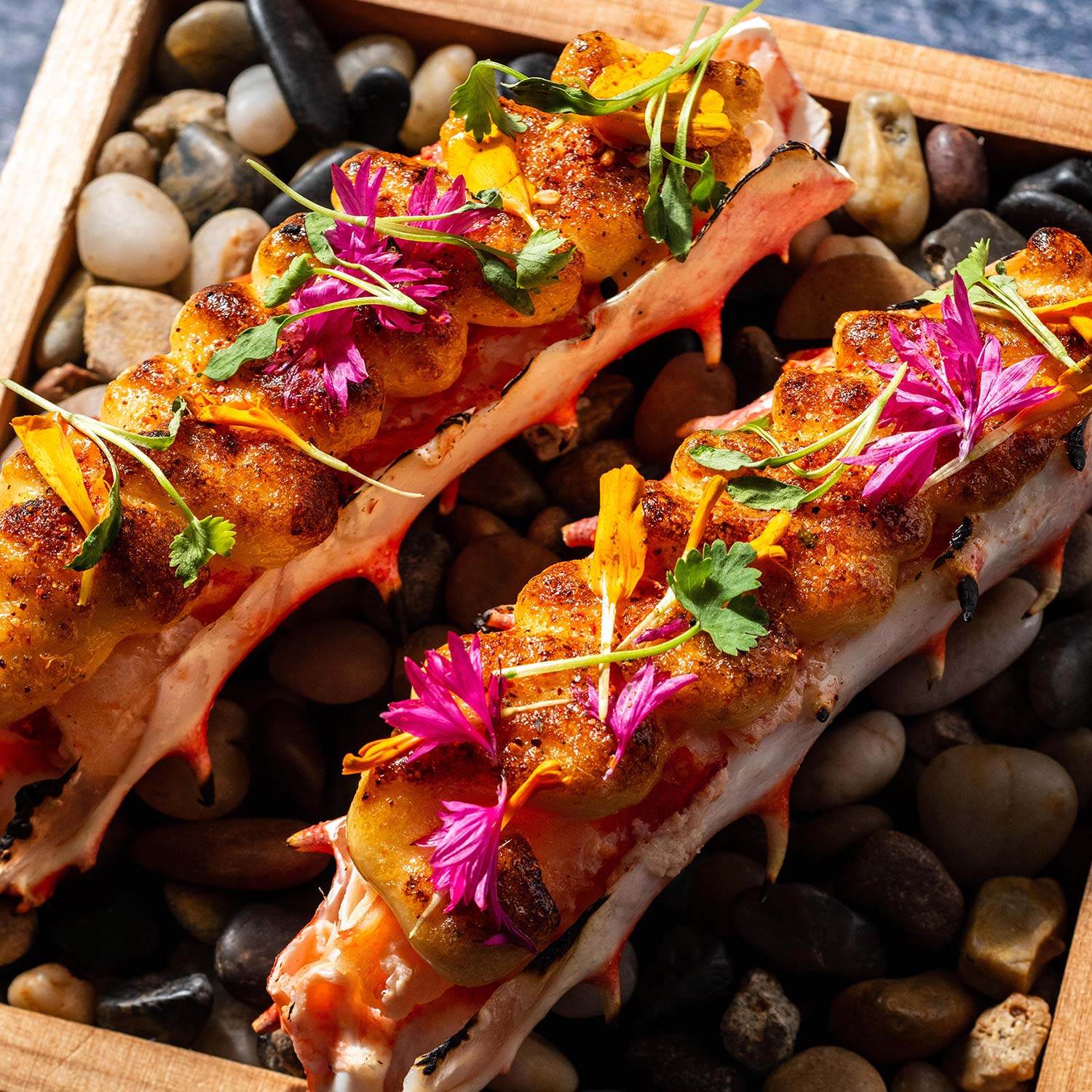 ©Kinship Company /Proxi