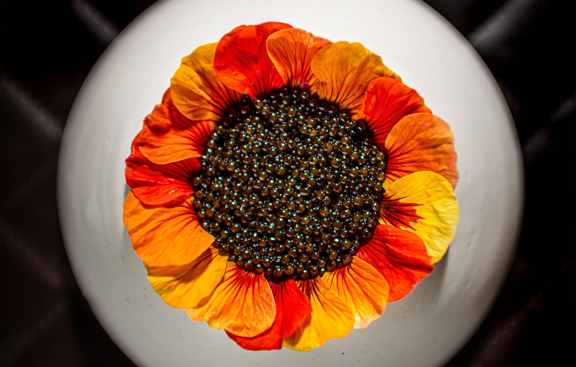 ©Rey Lopez/minibar - Starter at minibar