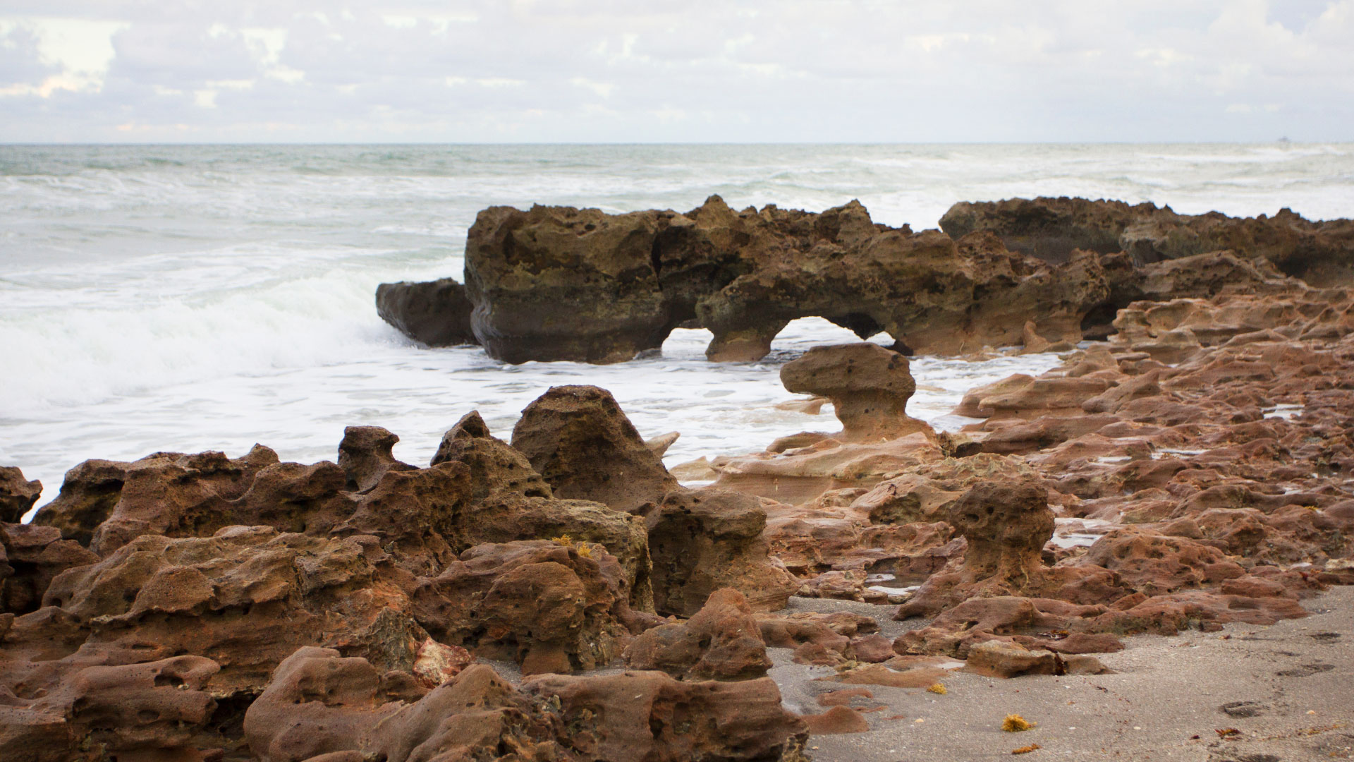 Richard / Adobe Stock - Coral Cove Park, Tequesta, Florida