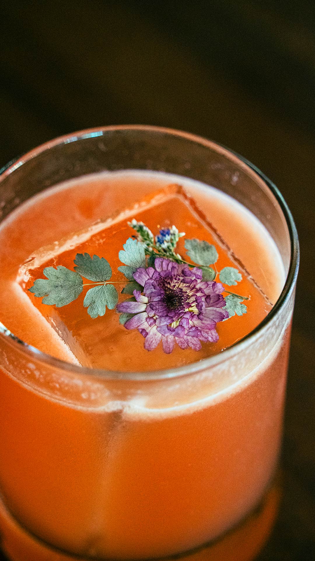 Aldo Tardioli / Drink
