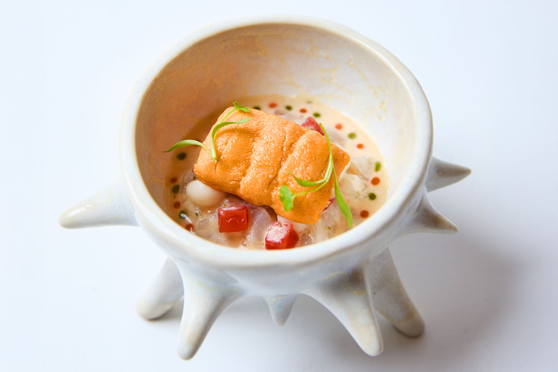 Jono Lawley / Tom Yum Ceviche - Hokkaido Uni