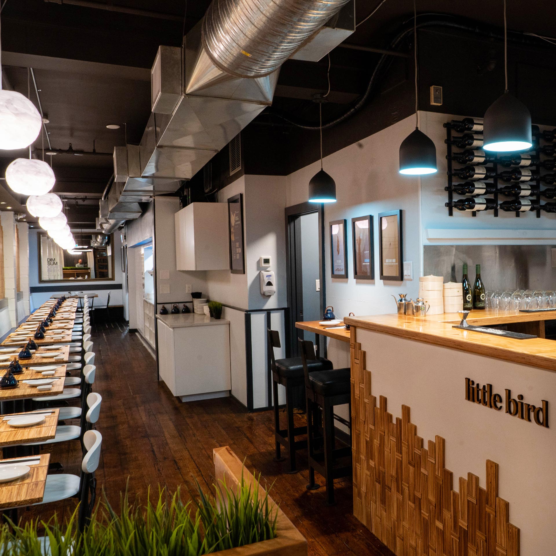 Anthony Pratico / Little Bird Dim Sum + Craft Beer