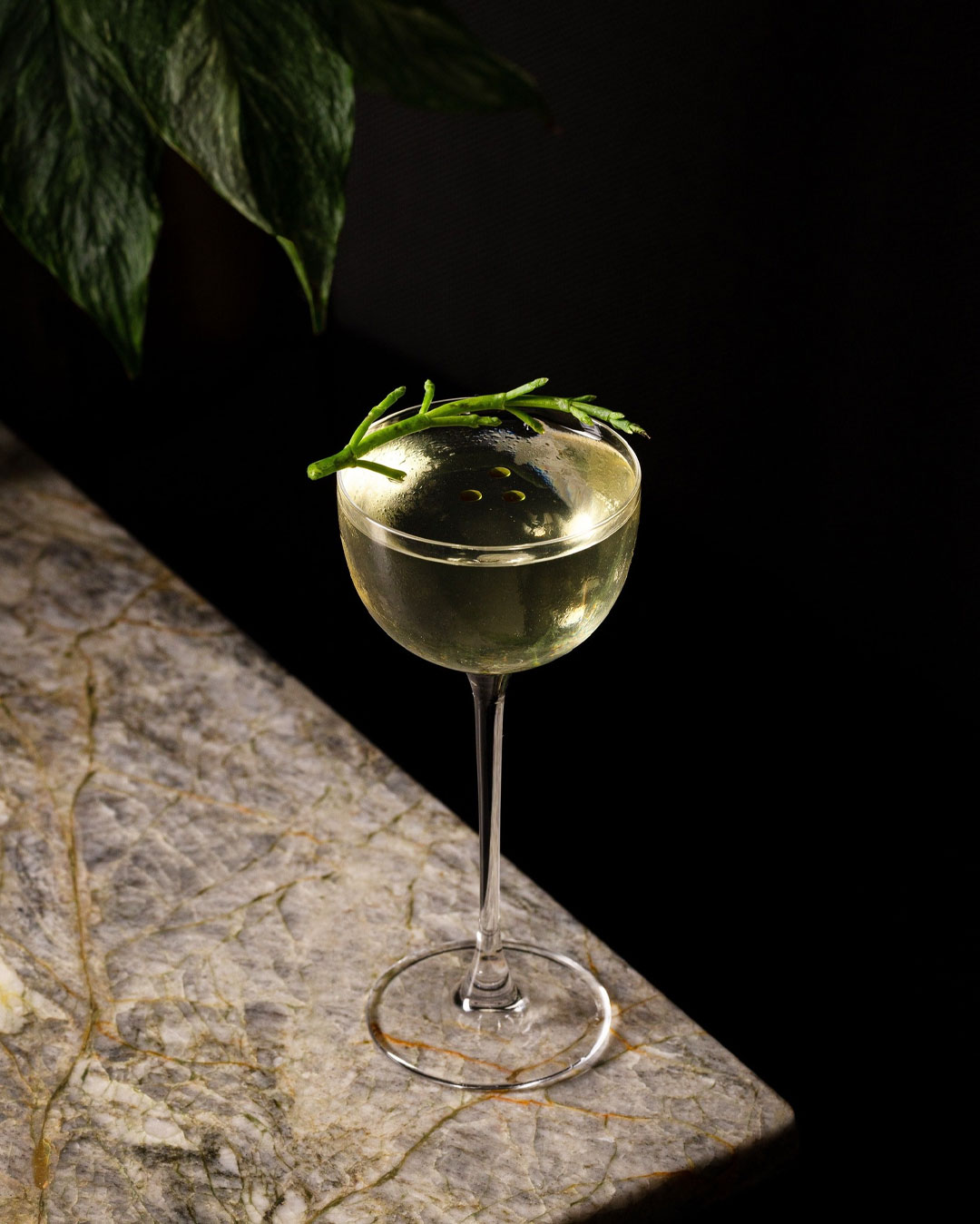 Botanist - Marine Martini 