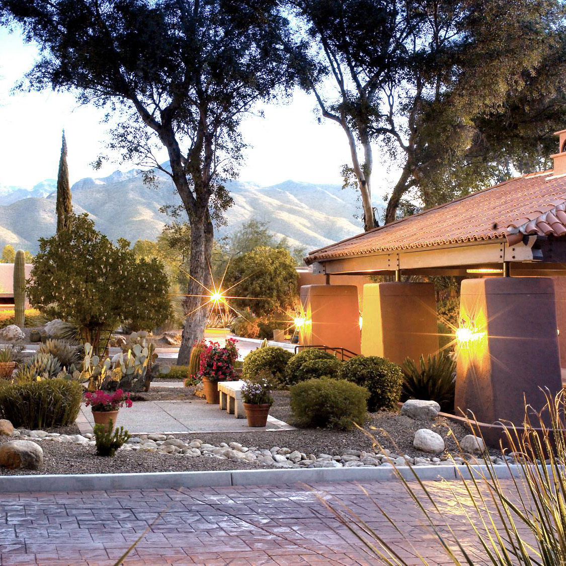 Canyon Ranch Tucson, set in the desert of the American Southwest below the Santa Catalina Mountains.