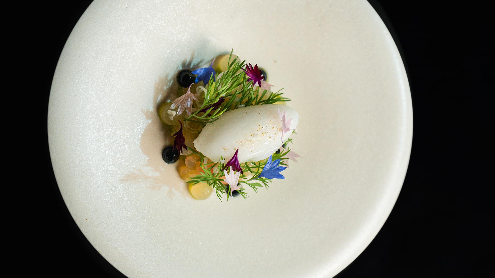 Jeff Fierberg / The Wolf’s Tailor