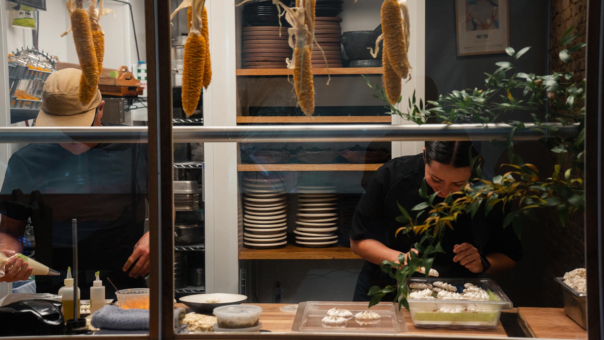 Jeff Fierberg / The Wolf’s Tailor