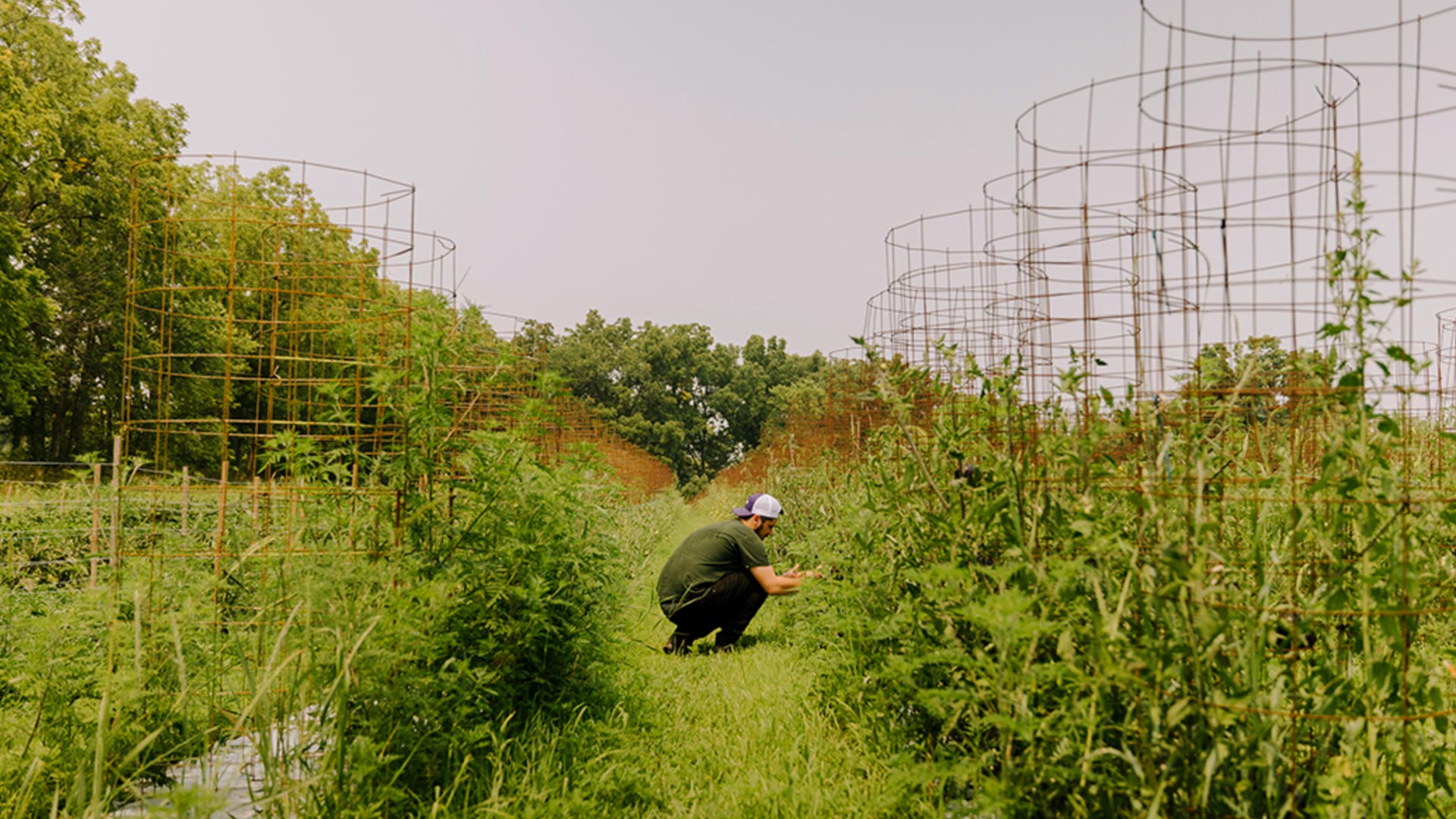 Jake at Froggy Meadow Farm - ©Kyle Szeto