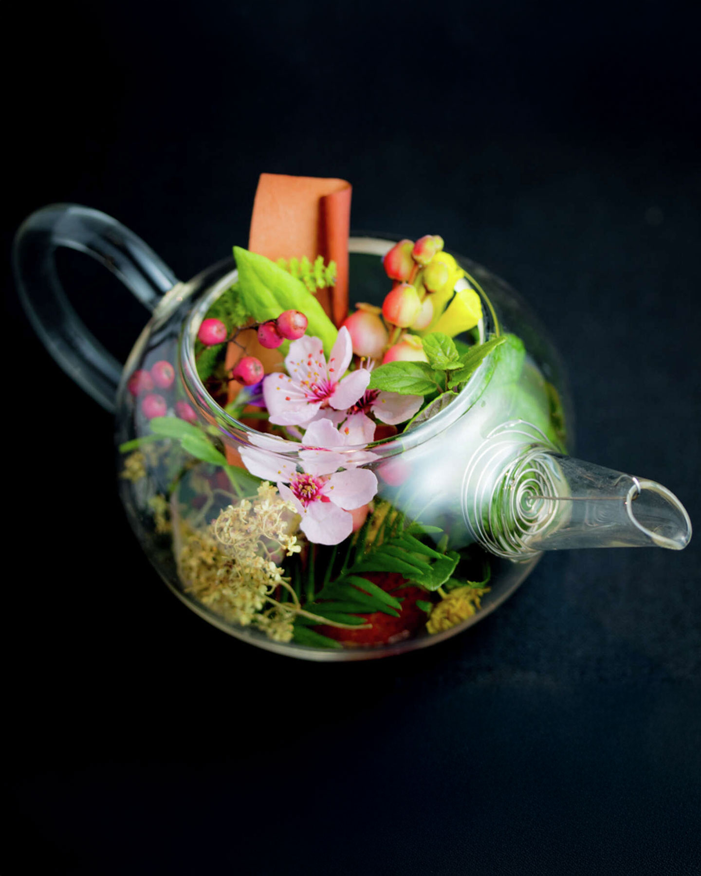 Forager's Tisane - ©Lazy Bear