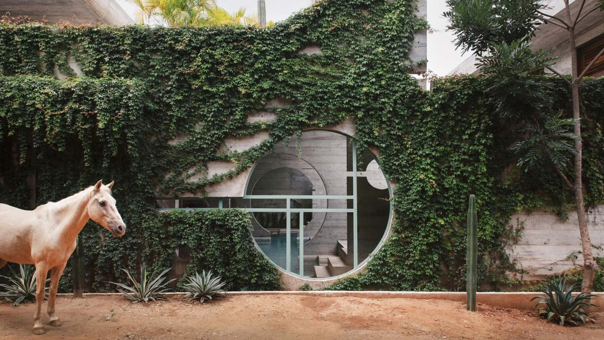 Just one of many beautiful outdoor spaces at Casa TO. © Casa TO