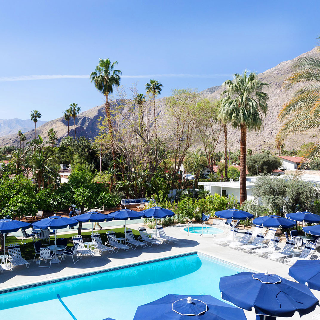 Pet Friendly Boutique Hotels in Palm Springs California Tablet