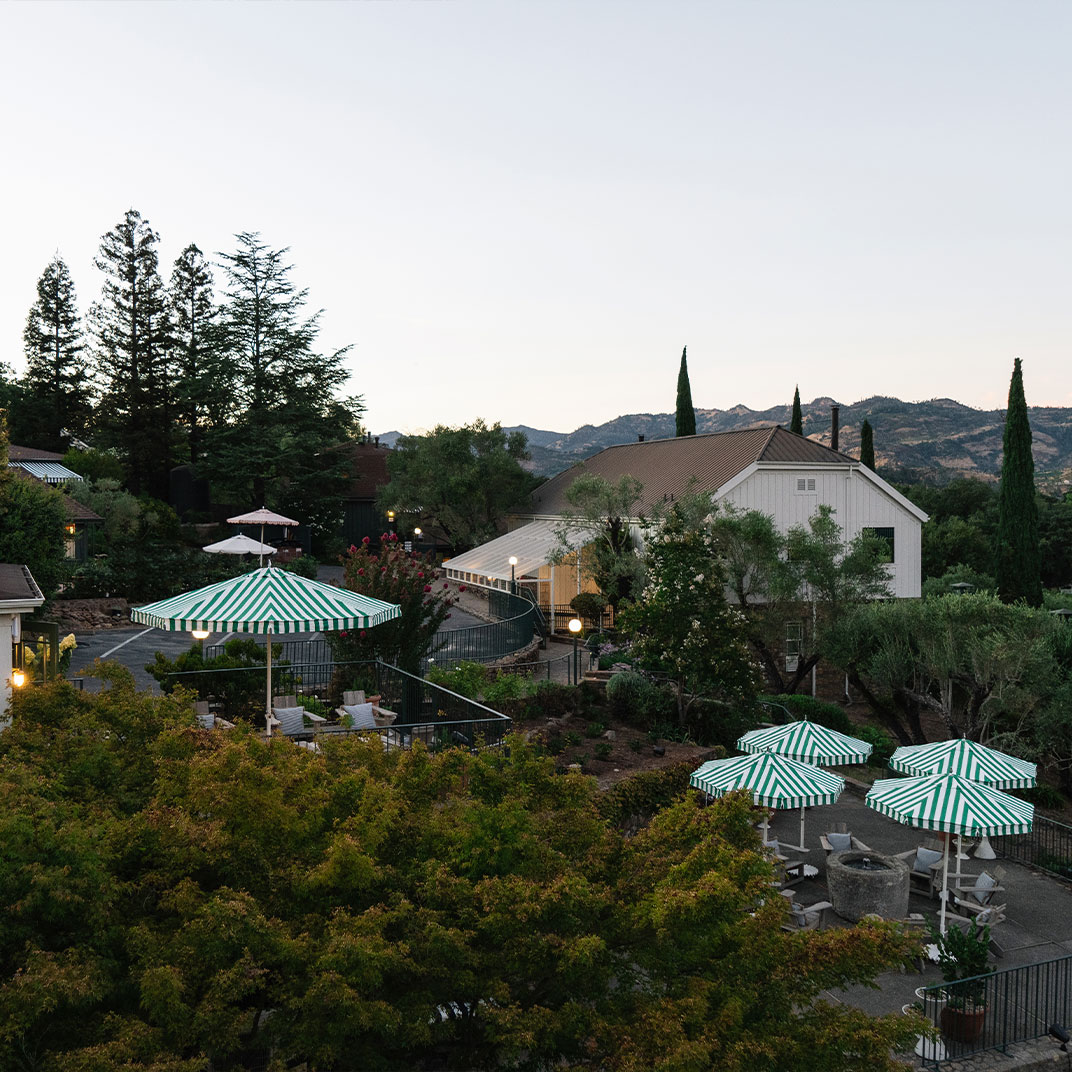 Photo 15 / 19 - Le Petit Pali St Helena