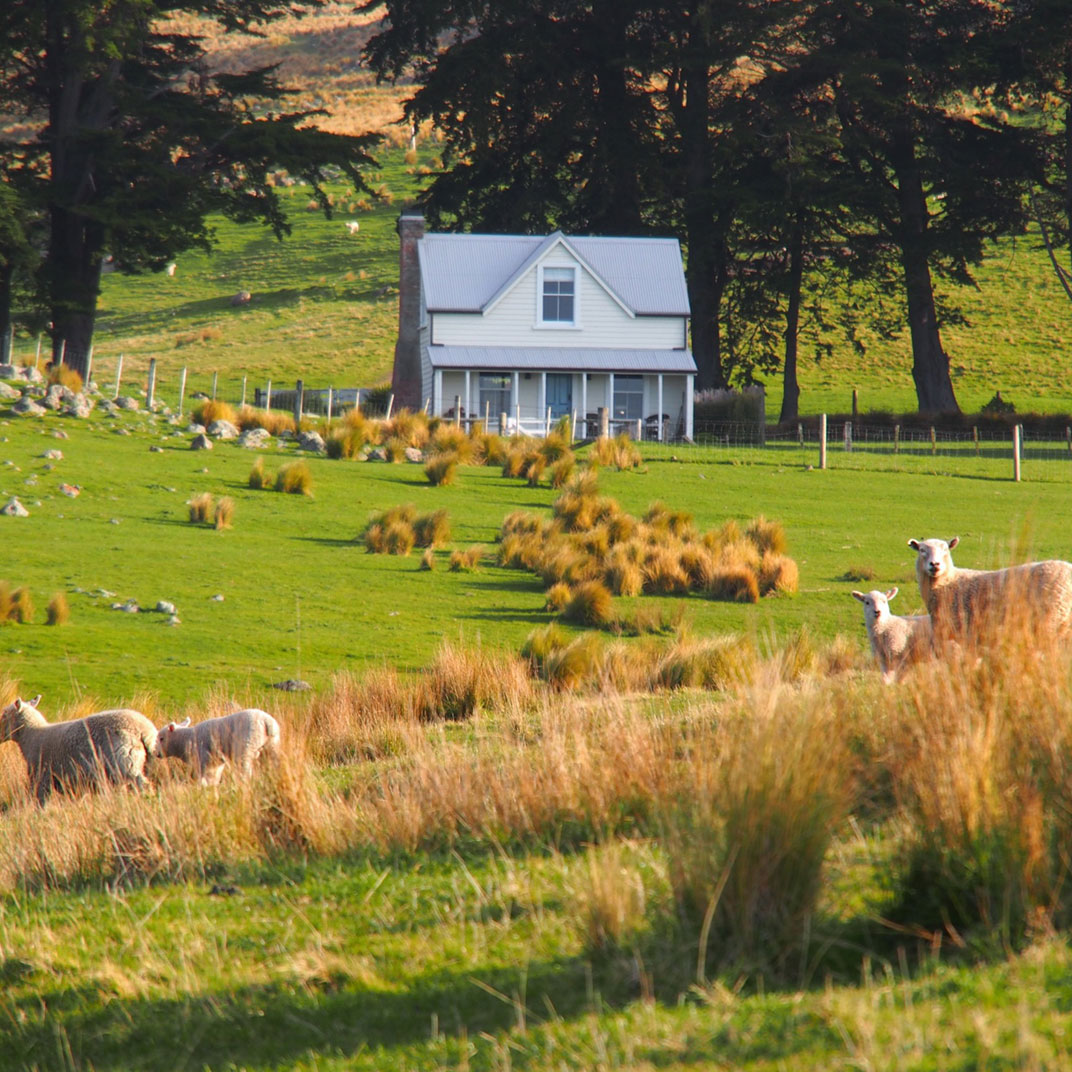 Photo 7 / 12 - Annandale Coastal Farm Escape & Luxury Villa Collection