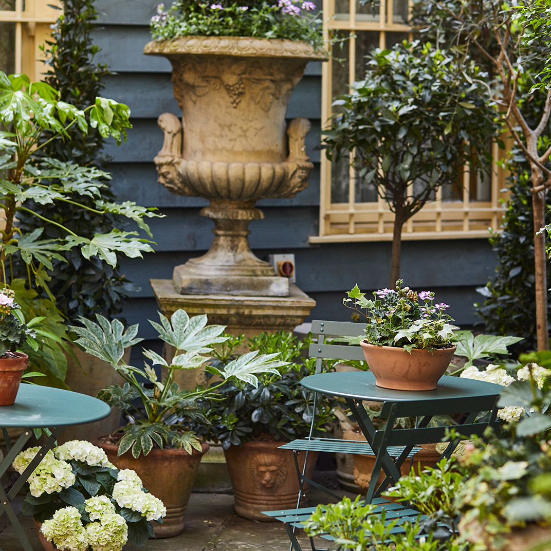 Photo 3 / 11 - The Rookery