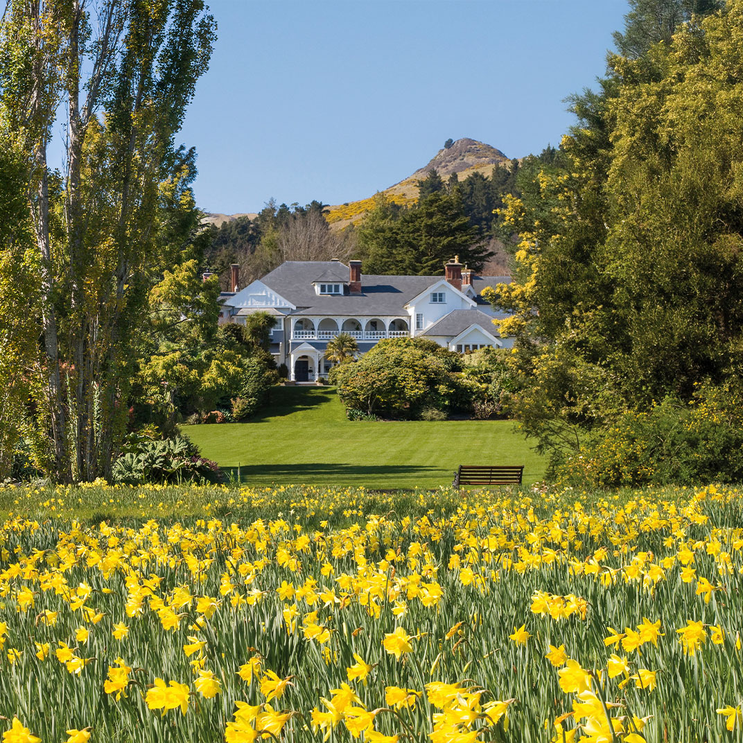 Photo 1 / 20 - Otahuna Lodge