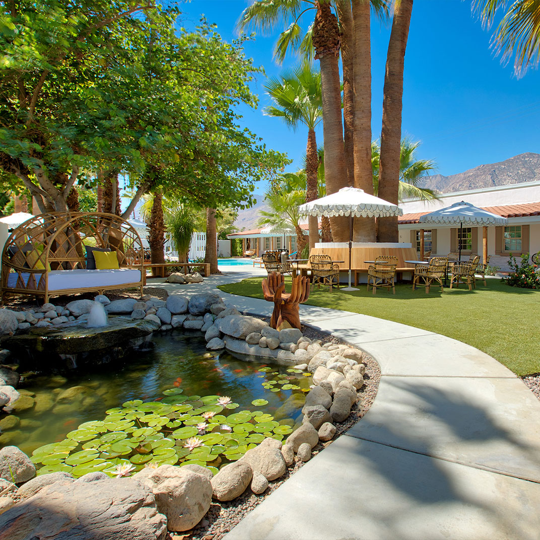 Dive Palm Springs